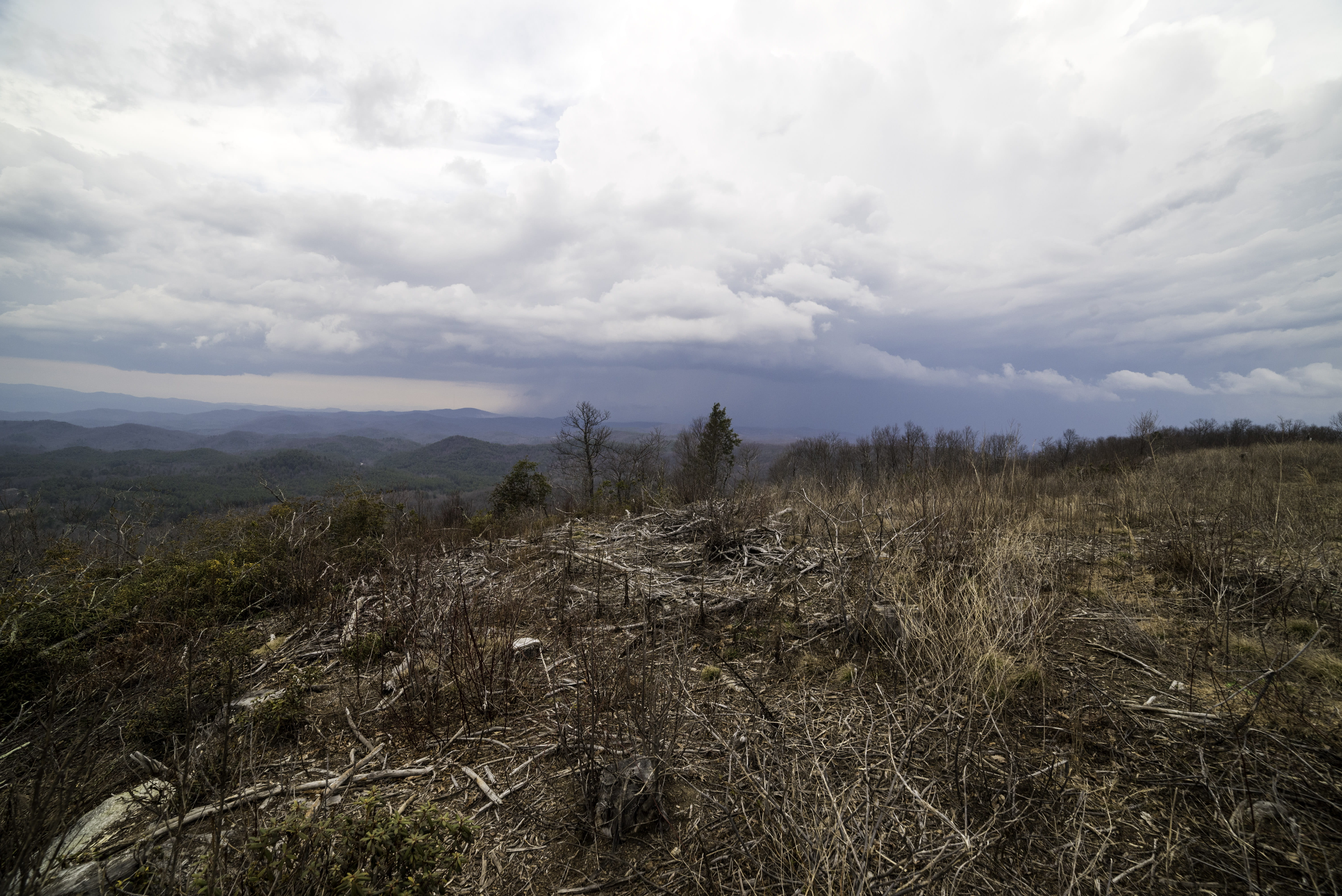 Clouds, south, 5K, Sassafras Mountain, scenics - nature, nature, Top, growth, landscapes, sky, grass, cloud - Sky, landscape, South Carolina, day, carolina, HD Wallpaper