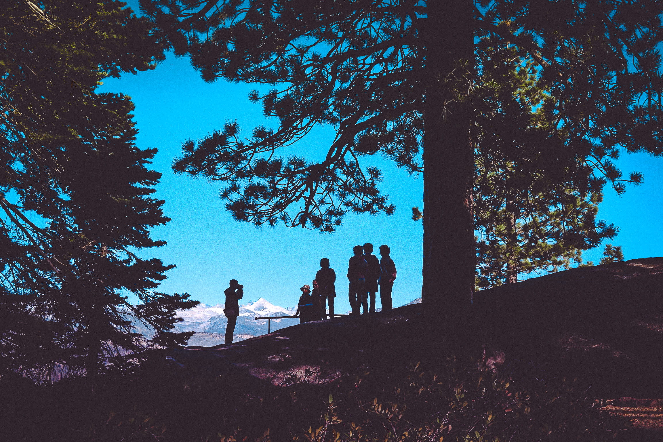 1080P, hiking, plant, adult, tourists, tree, land, photographers, leisure activity, silhouette, women, mountains, growth, silhouettes, persons, HD Wallpaper