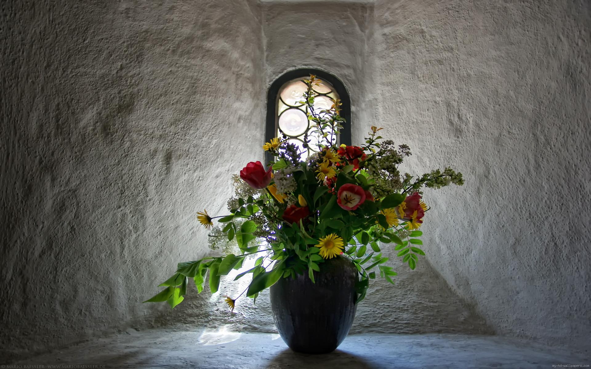 petaled, flower, flowers, yellow, bouquet, house, 1080P, window, stone, diverse, red, HD Wallpaper