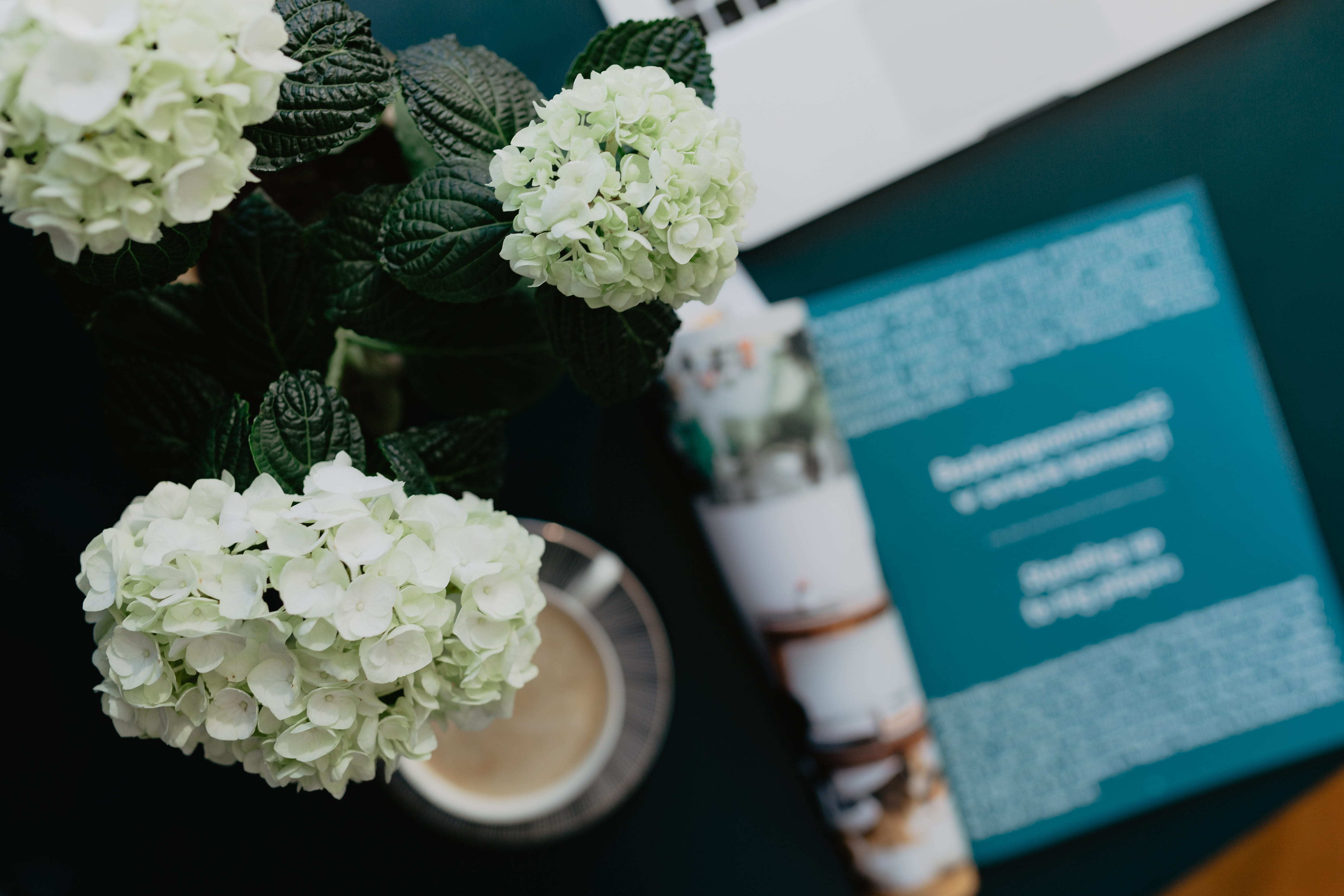 workspace, selective focus, flower arrangement, close-up, magazine, entrepreneur, flower head, 4K, petal, plant, freshness, vase, reading, flower, nature, HD Wallpaper