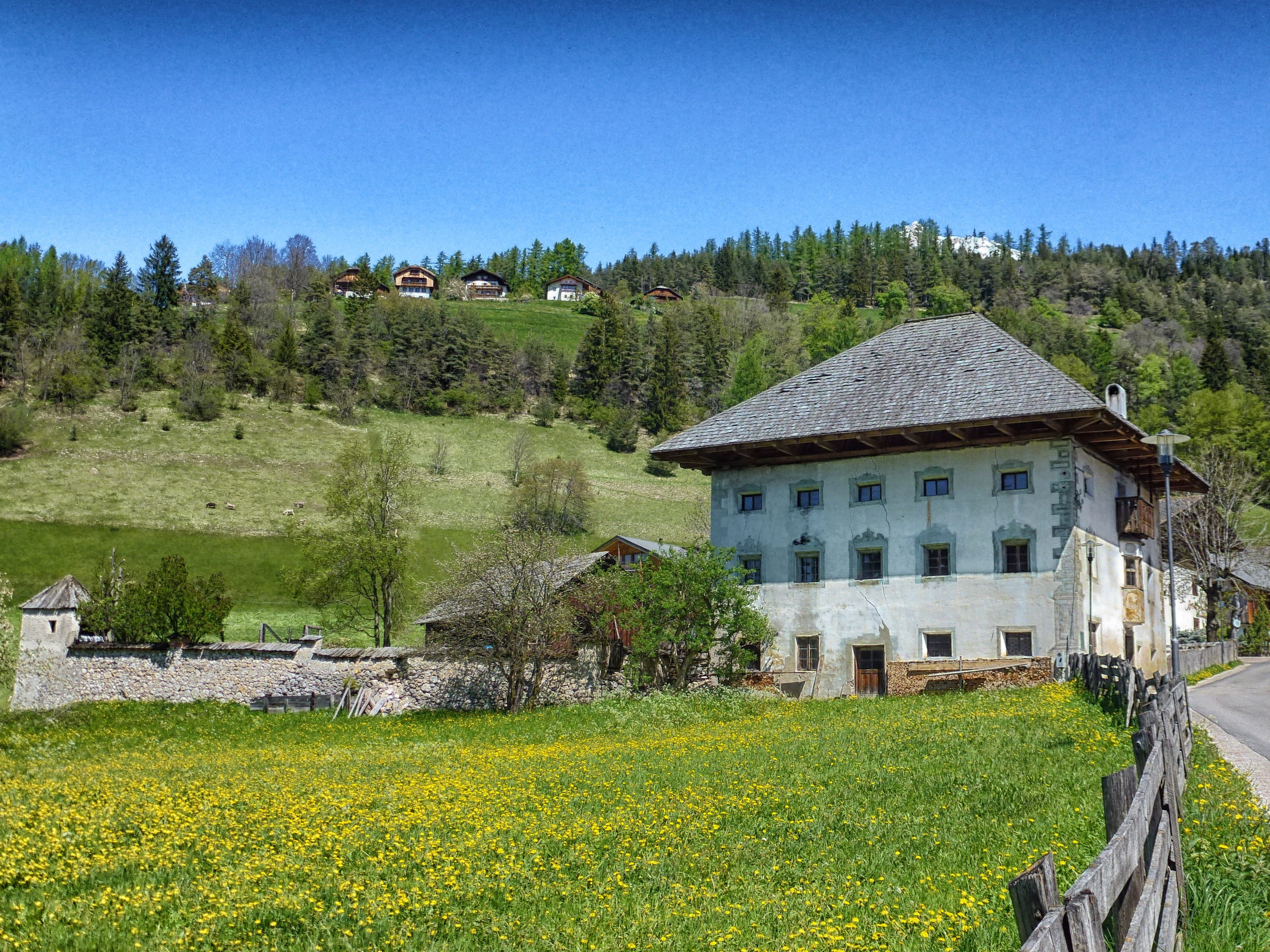 buildings, day, Italy, san vigilio bz, countryside, sky, building, built structure, country, summer, Bz, growth, forest, outside, beauty in nature, building exterior, HD Wallpaper