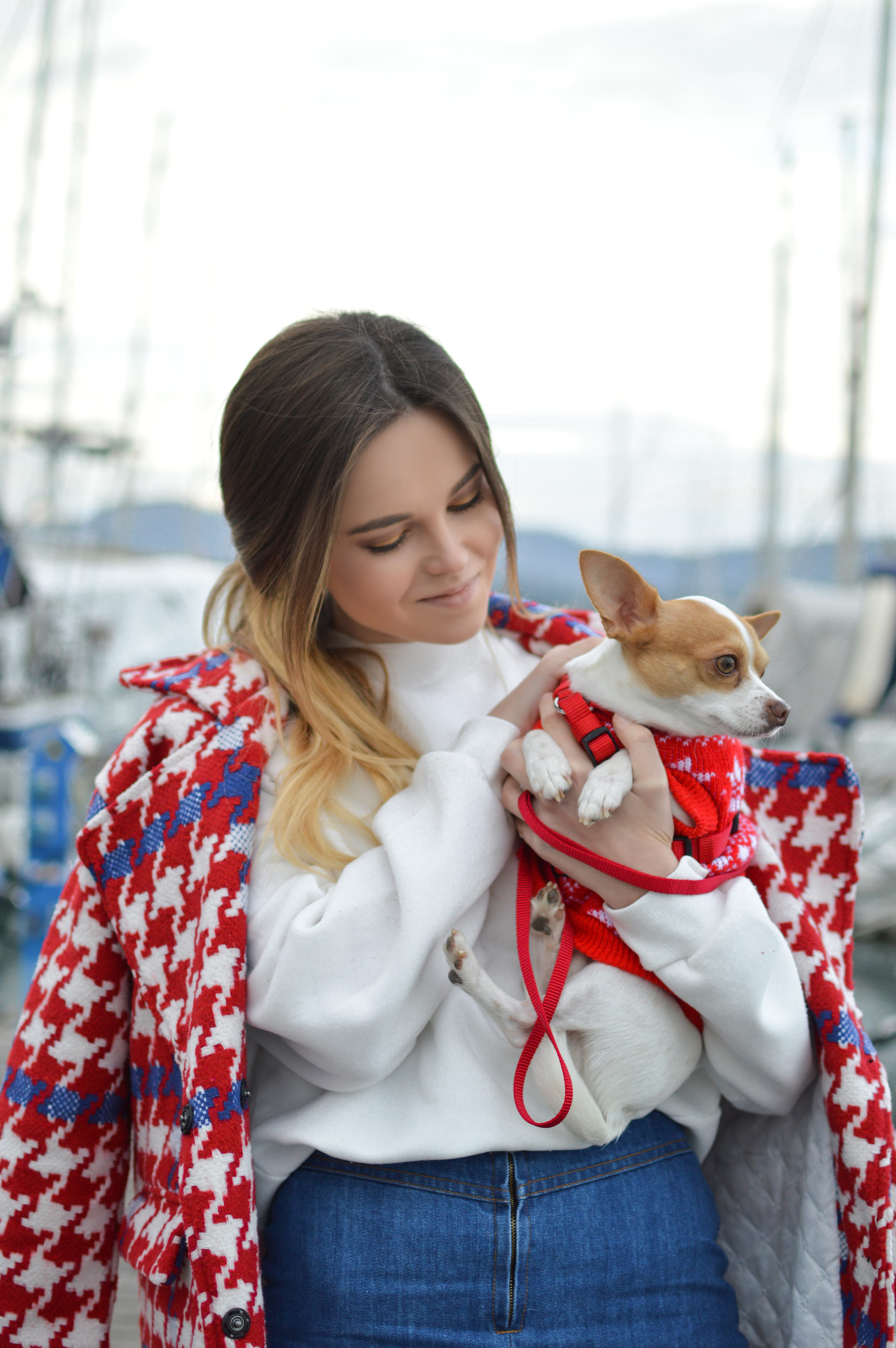 Chihuahua, carrying, portrait, cheerful, young Adult, outdoors, beauty, woman, animal, mammal, smiling, leisure activity, warm clothing, focus on foreground, Phone HD Wallpaper
