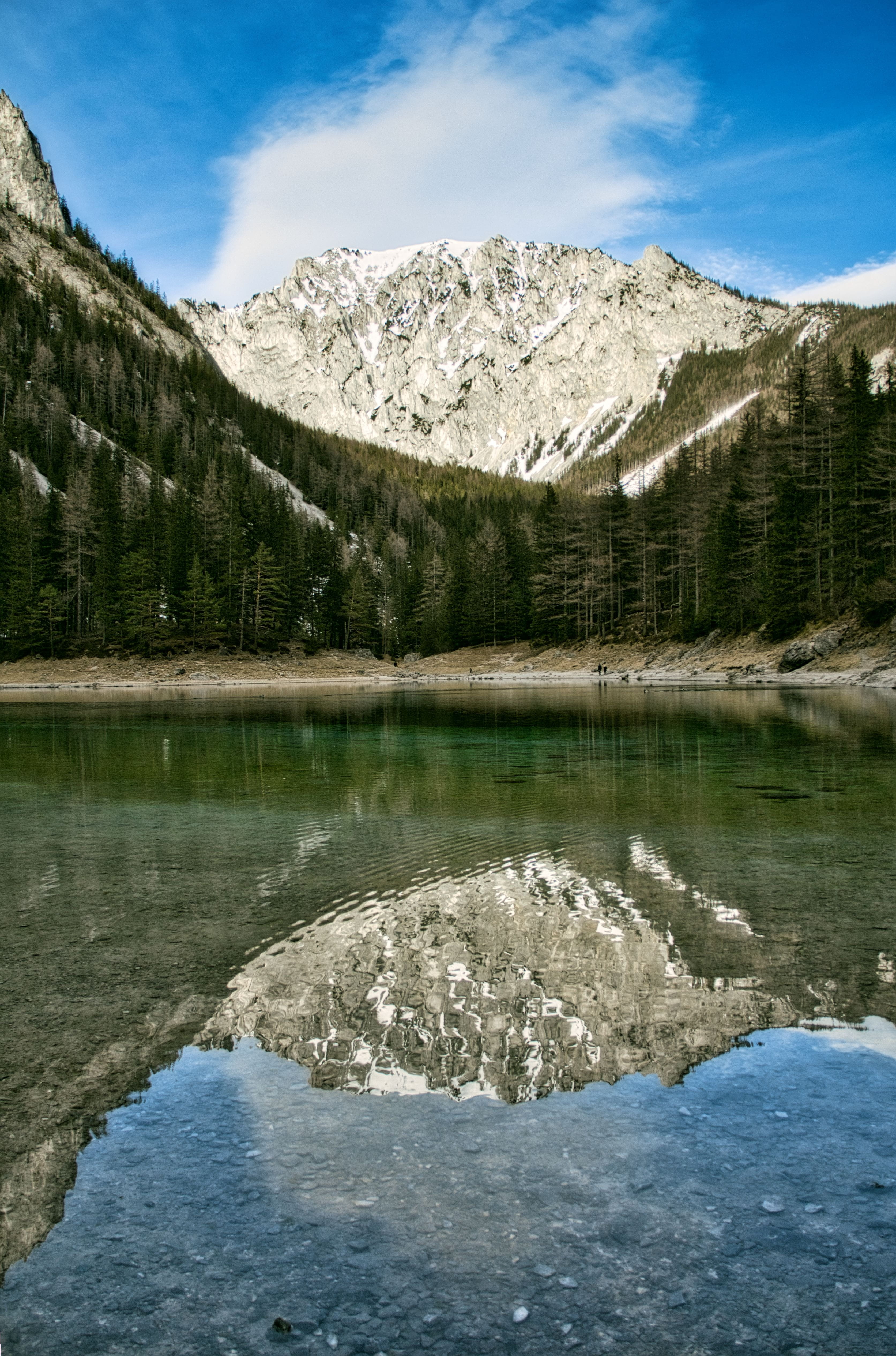 tranquil scene, scenic, plant, 4K, sky, day, cloud - sky, walk, tranquility, reflection, grünersee, beauty in nature, hiking, green, scenics - nature, Phone HD Wallpaper