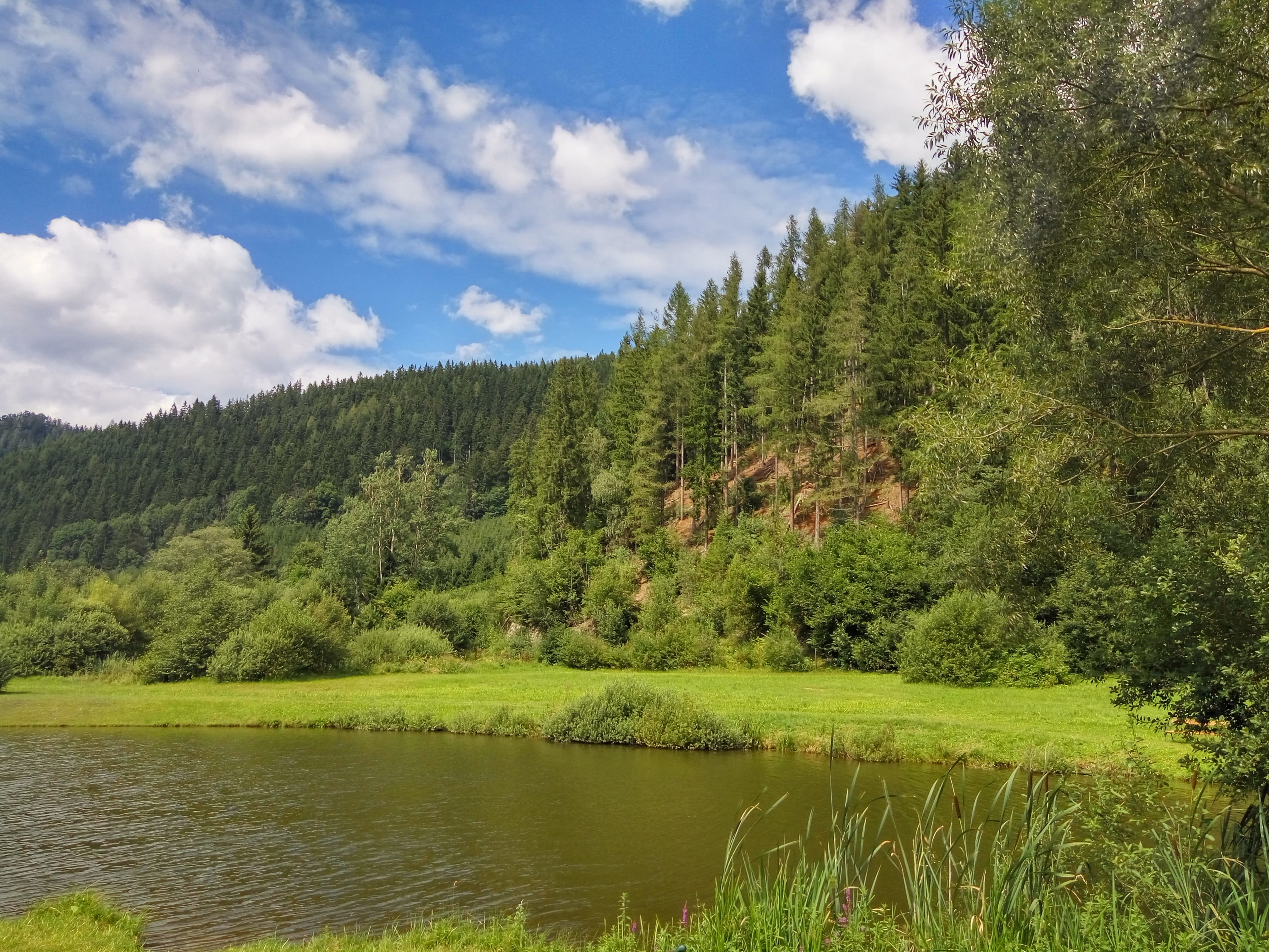 tranquility, semmering, beauty in nature, green color, water, forest, no people, blue, cloud - sky, river, Clouds, nature, land, plant, Form, Sky, tranquil scene, HD Wallpaper