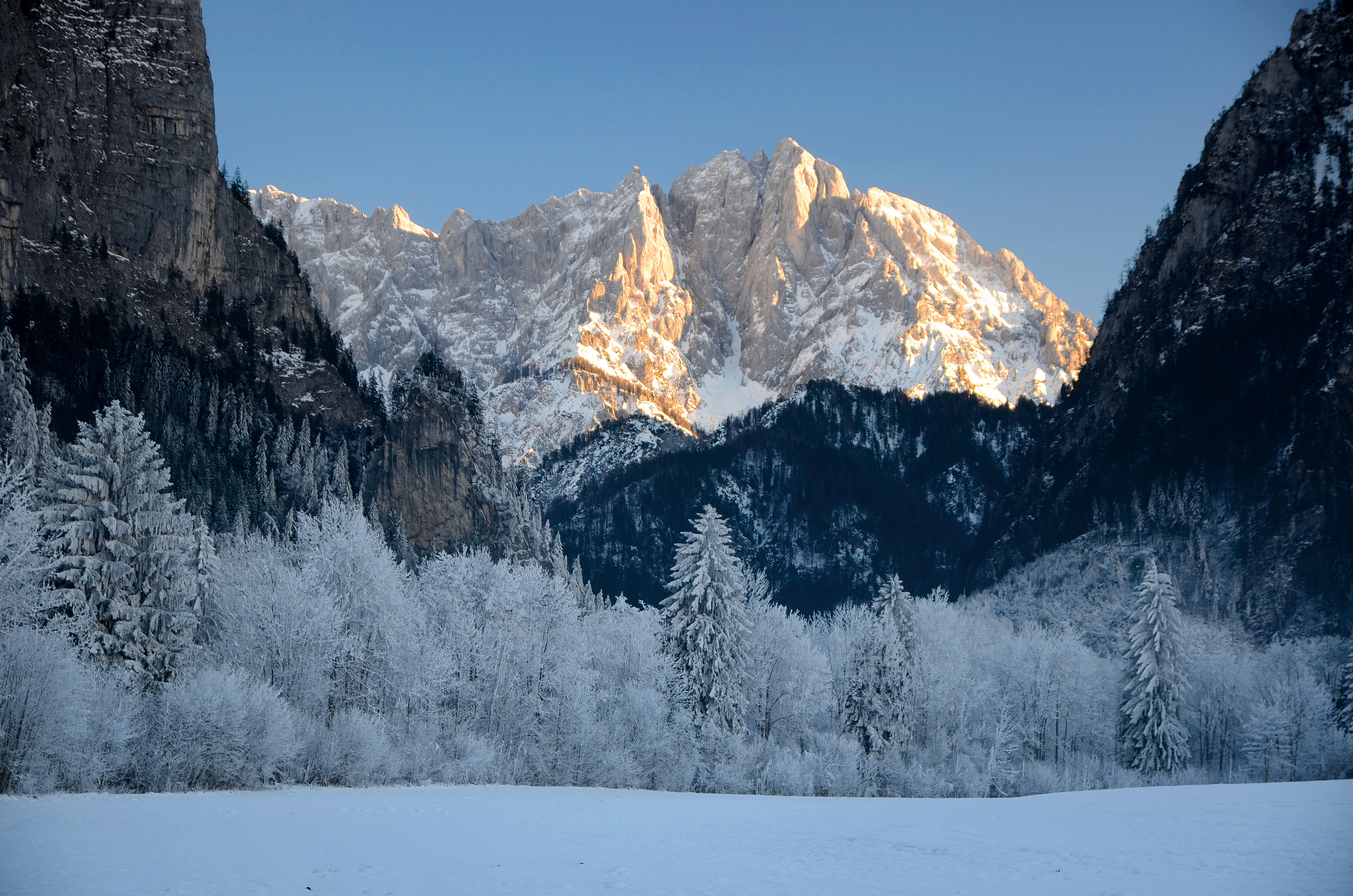 snowcapped mountain, no people, non-urban scene, landscape, idyllic, blue, pine tree, frozen, european Alps, mountain range, tree, austria, environment, HD Wallpaper