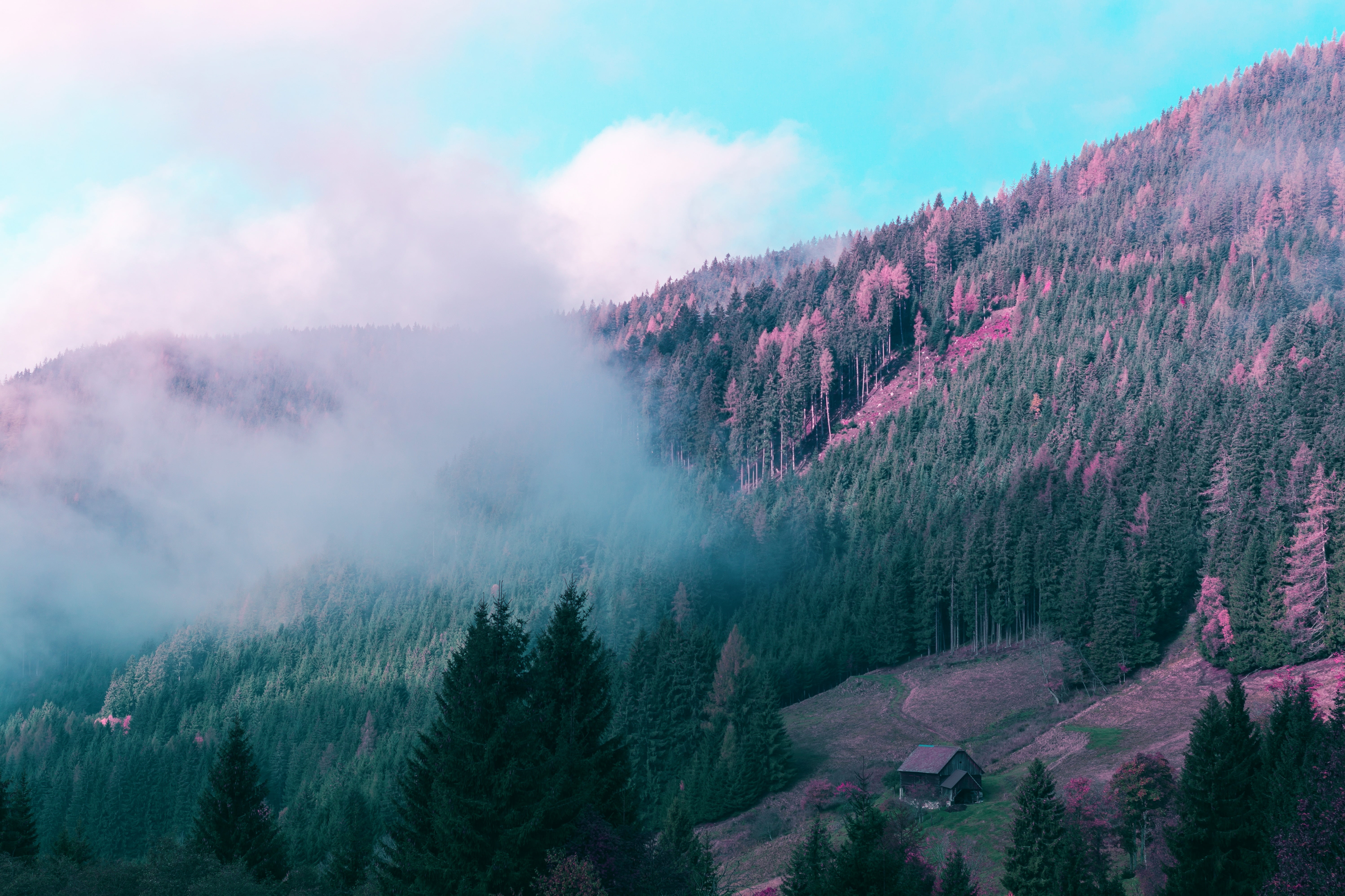 no people, green, mountain, pine tree, day, sky, 5K, house, beauty in nature, non-urban scene, scenics - nature, coniferous tree, tree, forest, gesause national park, HD Wallpaper
