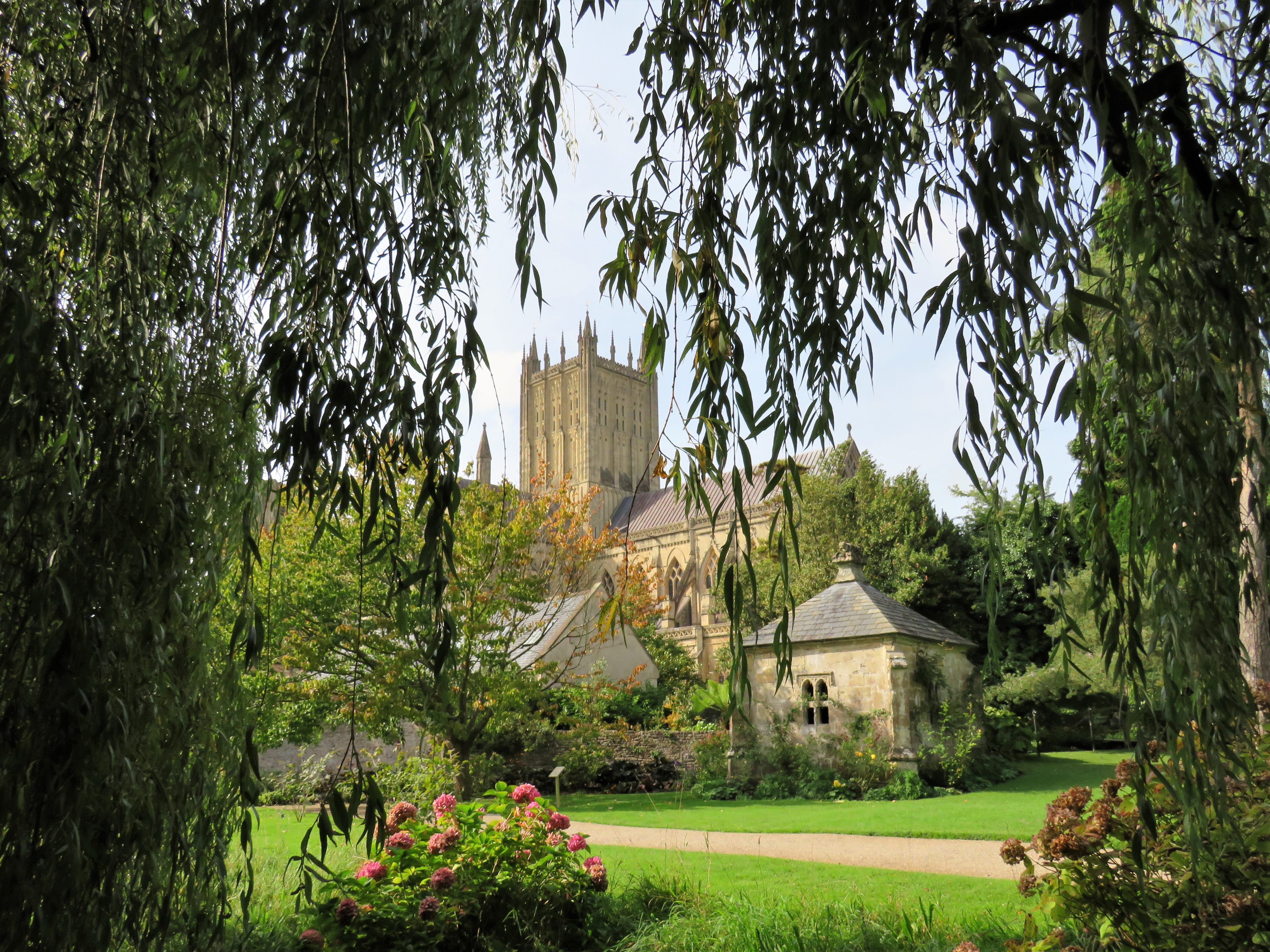 growth, outdoors, 4K, england, historic, beauty in nature, building, building exterior, built structure, plant, land, nature, day, grass, cathedral, no people, HD Wallpaper
