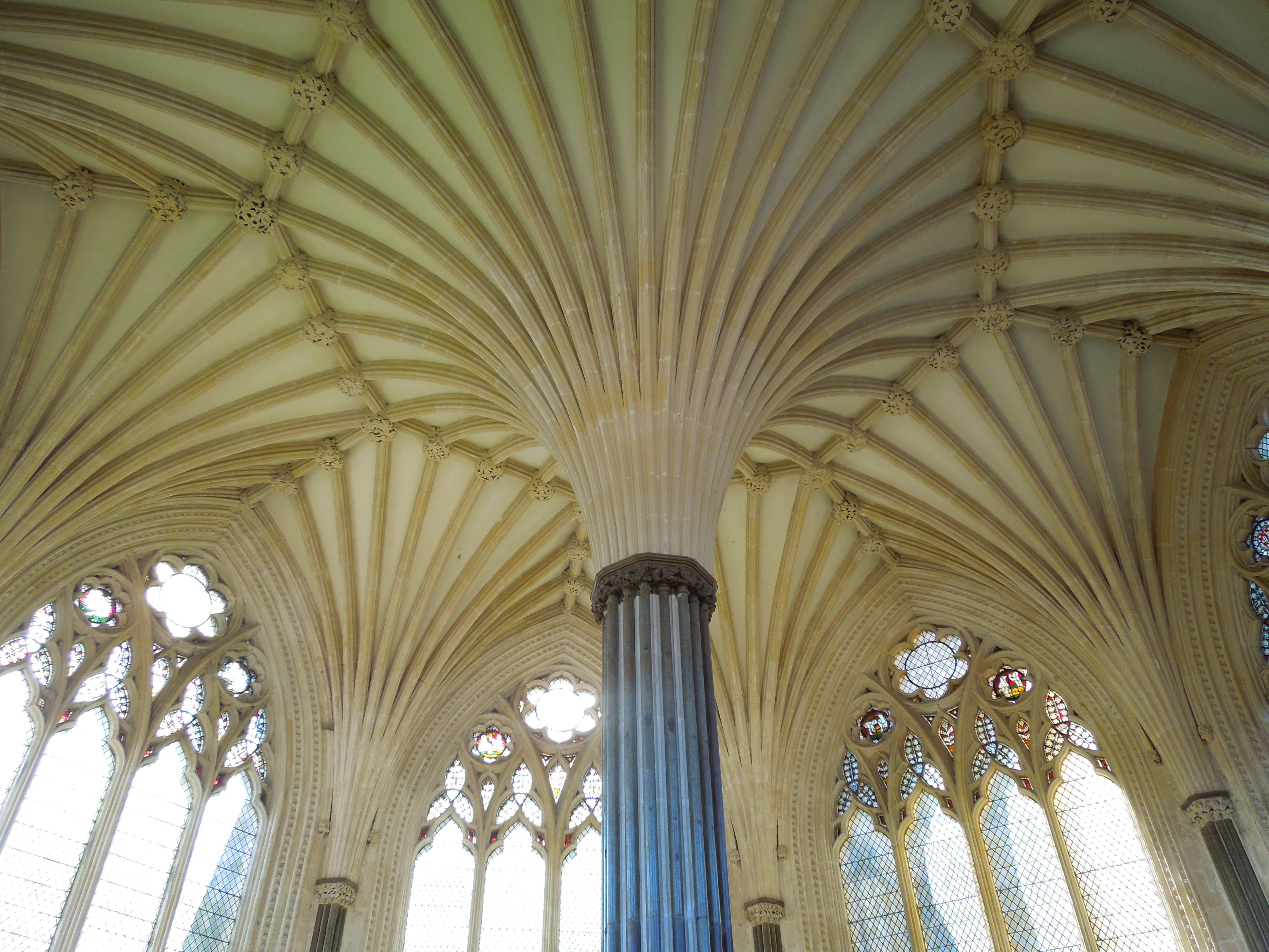 cupola, ceiling, pattern, 4K, wells, building, chapter house, built structure, england, architecture and art, spirituality, indoors, the past, place of worship, HD Wallpaper