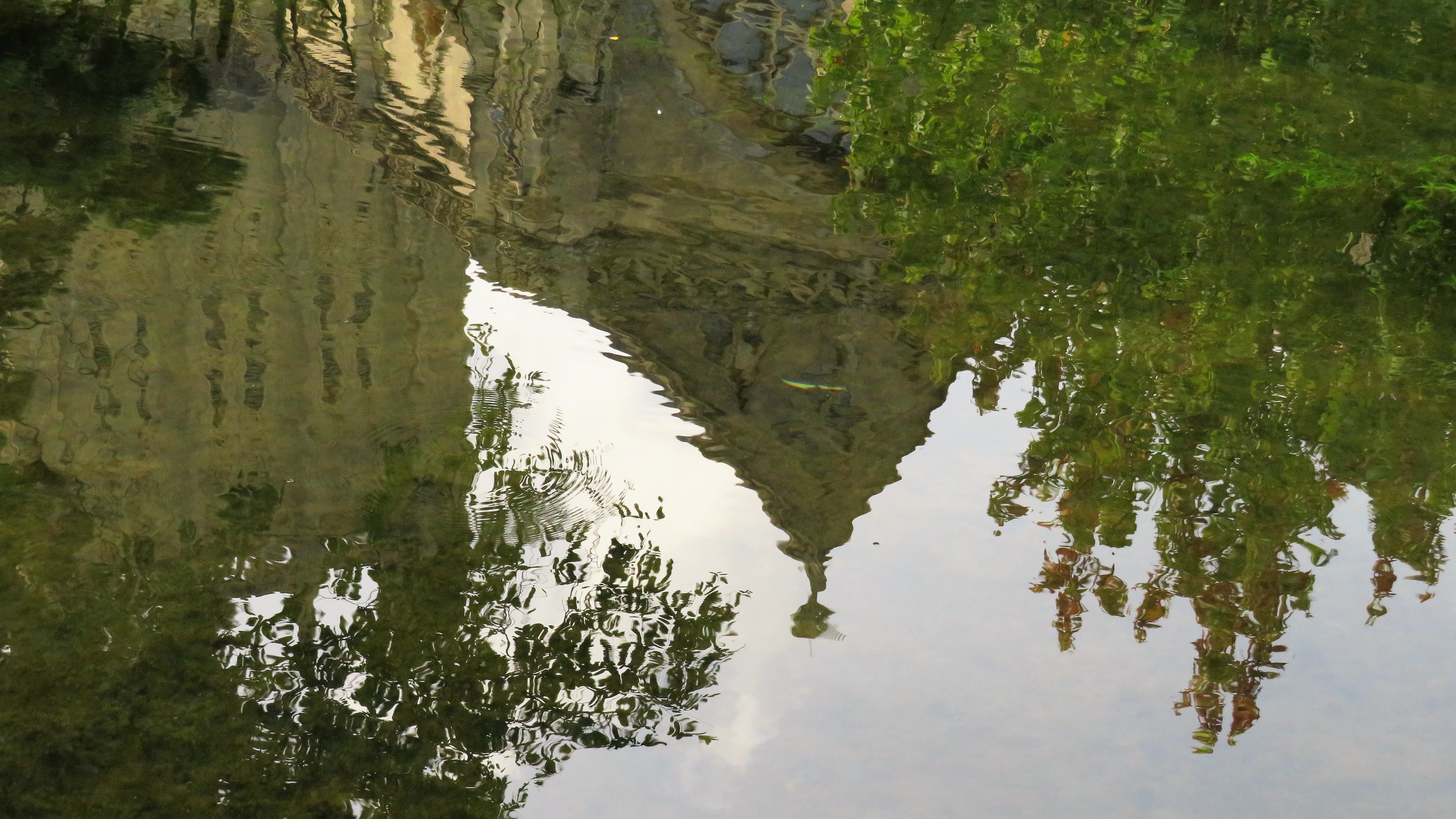 somerset, plant, growth, idyllic, standing water, outdoors, tree, scenics - nature, tranquility, 5K, non-urban scene, beauty in nature, tranquil scene, HD Wallpaper