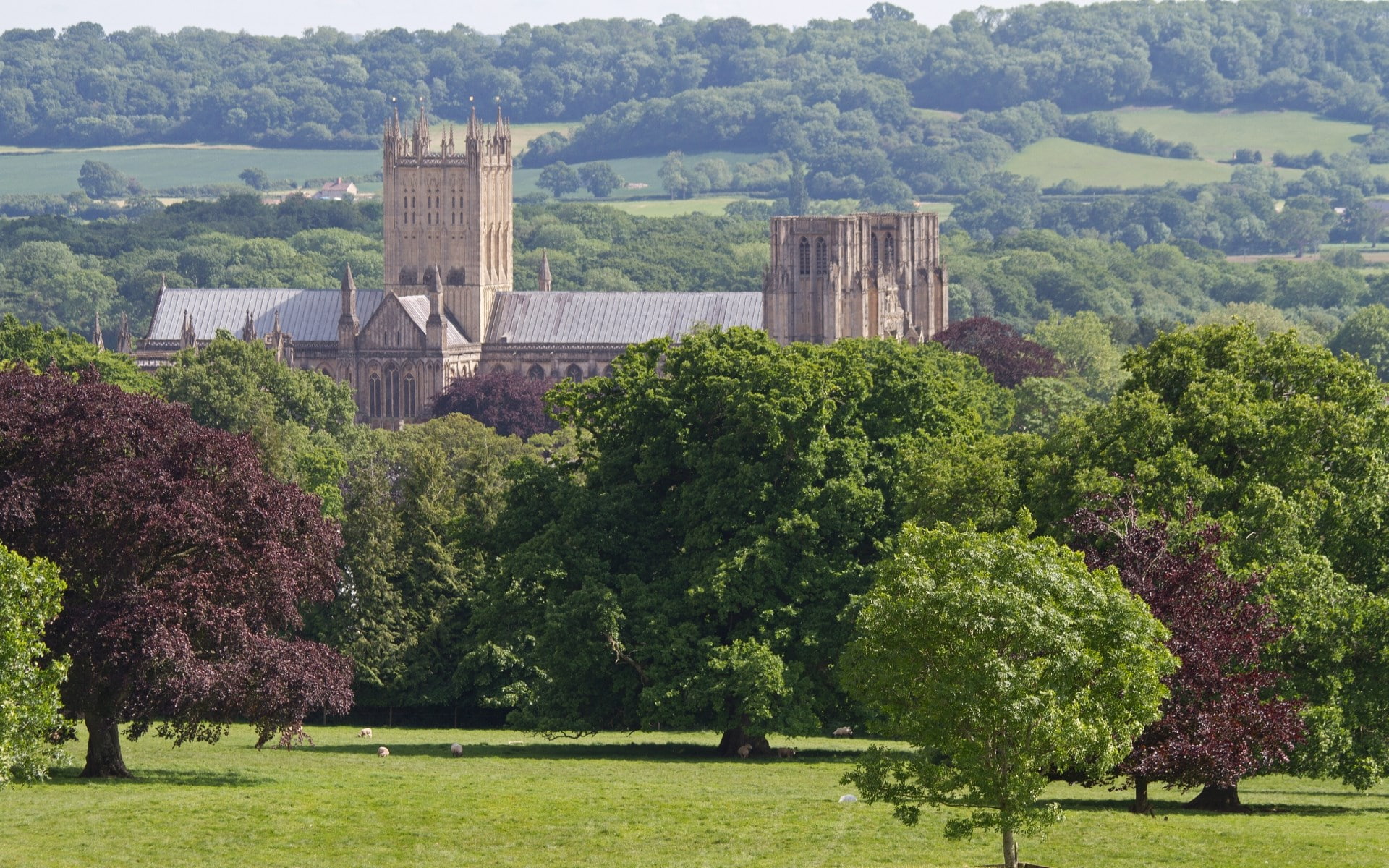 1080P, wells cathedral, HD Wallpaper