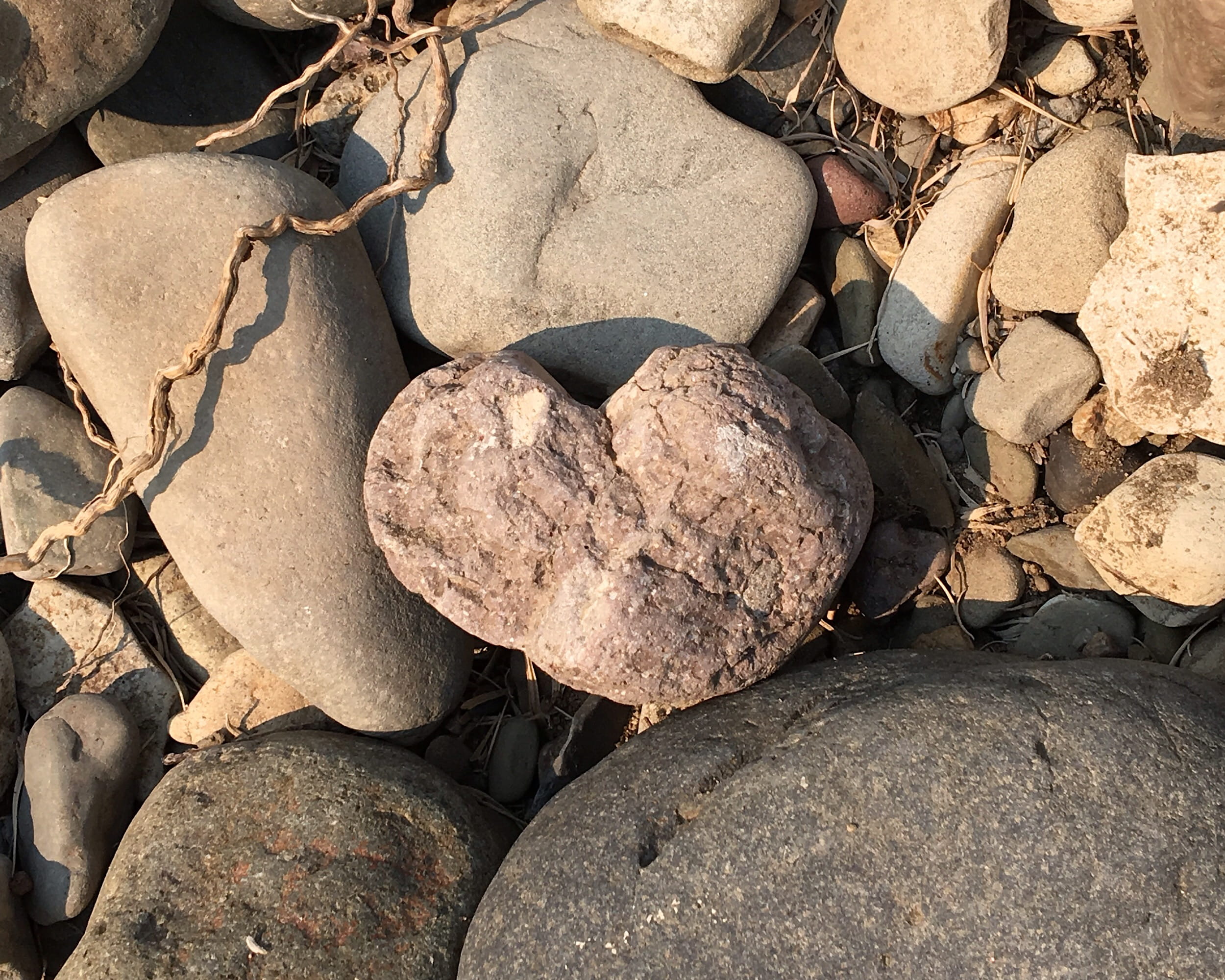 rubble, rock - object, portrait, no people, beach, walkway, pillow, full frame, solid, backgrounds, high angle view, textured, stone, outdoors, photo, day, HD Wallpaper