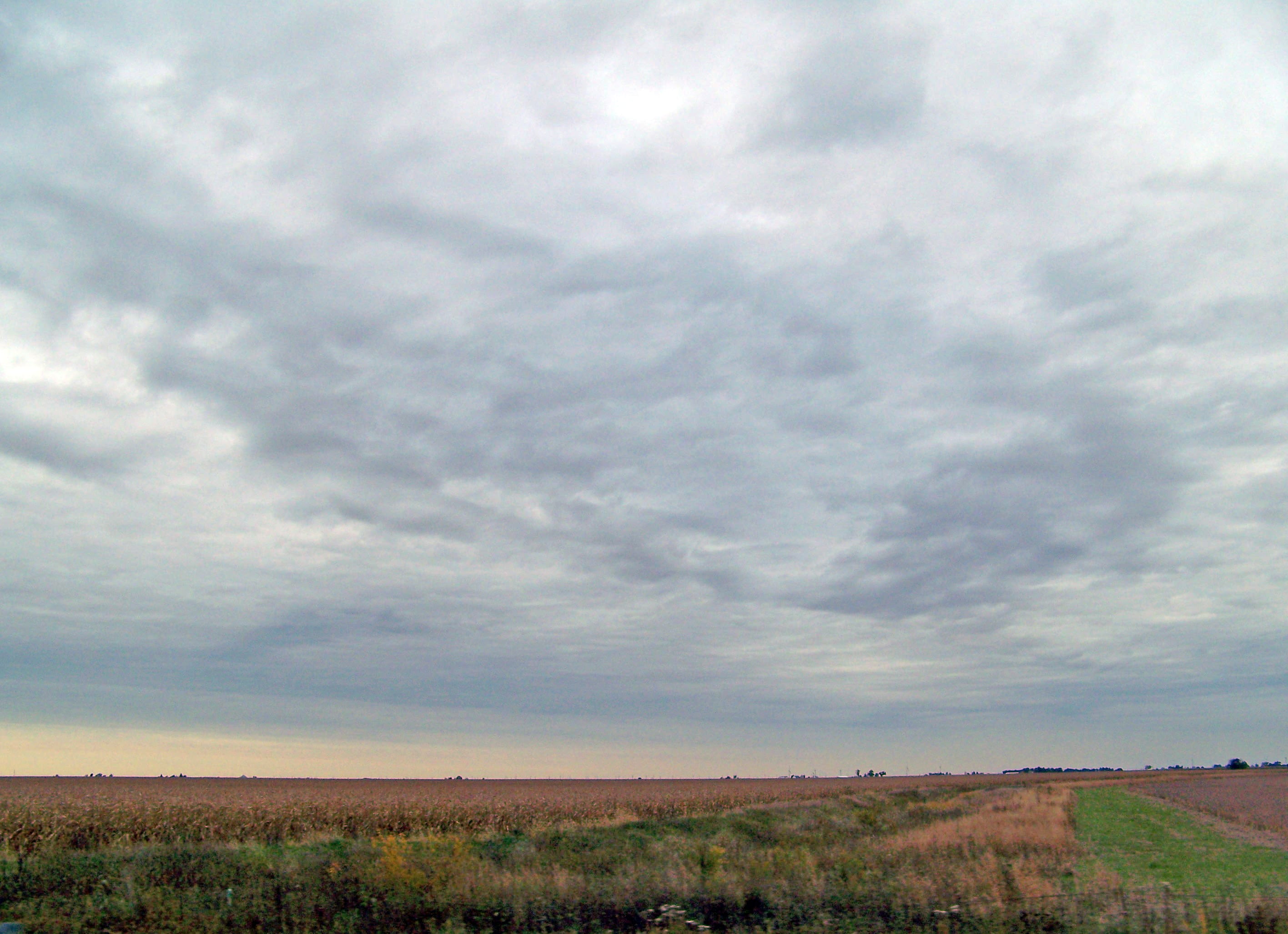 indiana, harvest, overcast, tranquility, land, tranquil scene, day, grain, crop, growth, outdoors, plant, fall, autumn, scenics - nature, midwest, horizon, HD Wallpaper