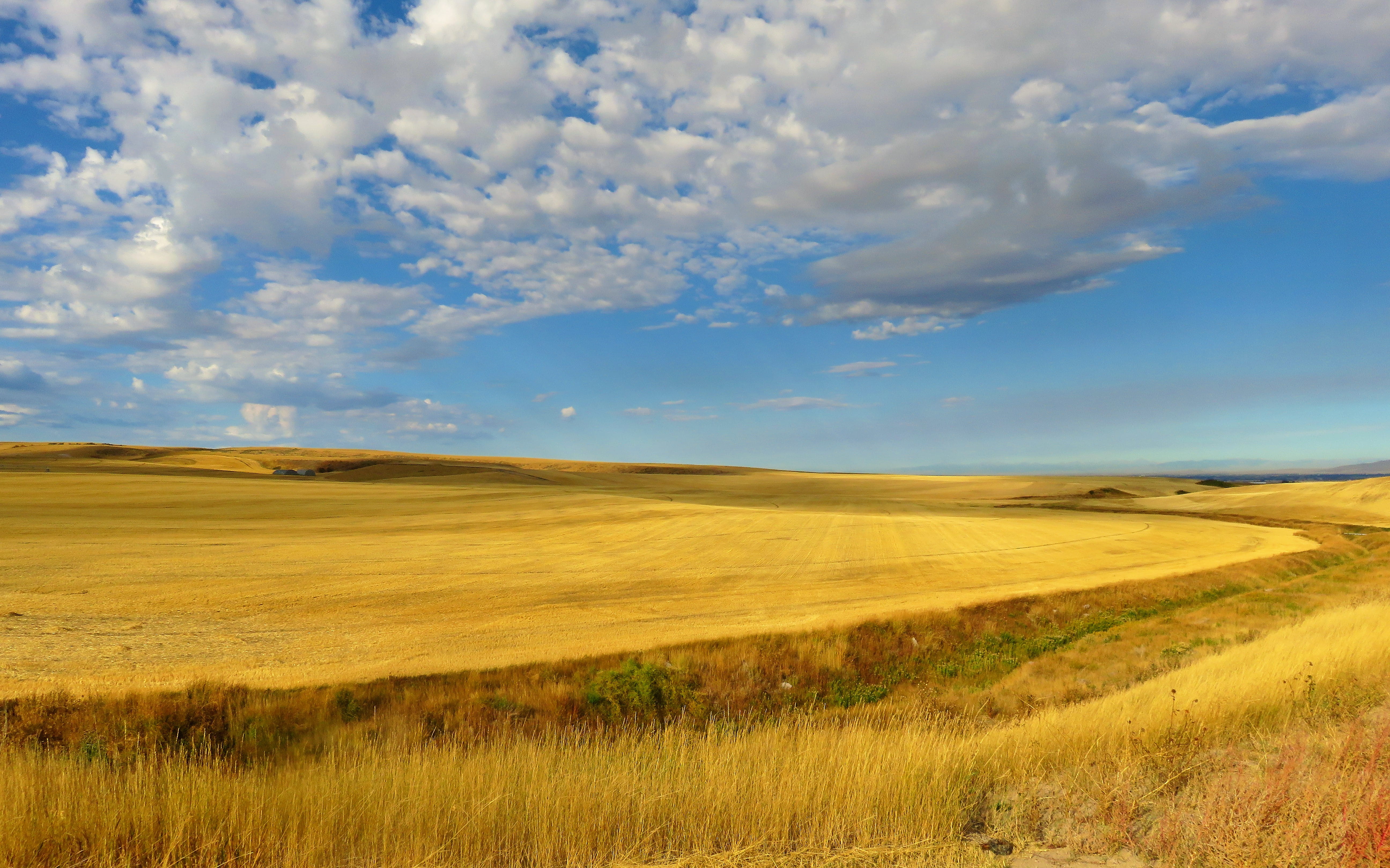 tranquil scene, green, vegetable, blue, rural scene, day, food, landscape, scenics - nature, environment, no people, produce, grass, panoramic, rural, nature, HD Wallpaper