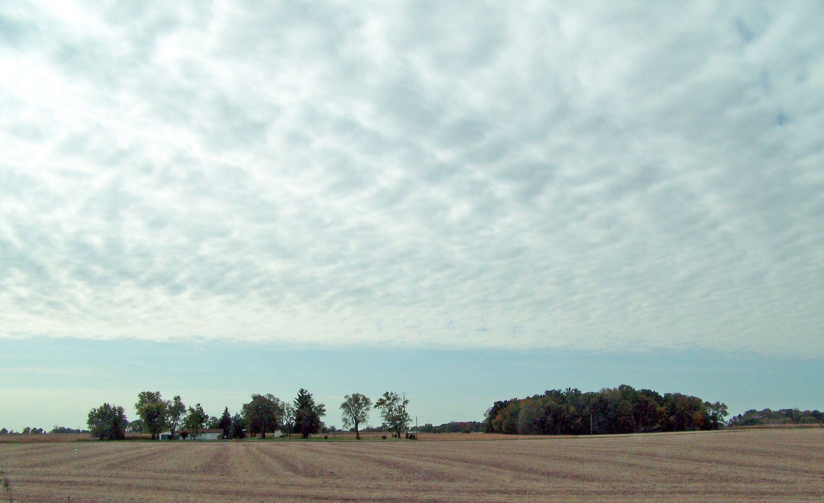 pasture, agriculture, cloud - sky, Clouds, farmland, rural scene, rural, no people, usa, environment, harvest, scenic, outdoors, beauty in nature, Landscape, HD Wallpaper