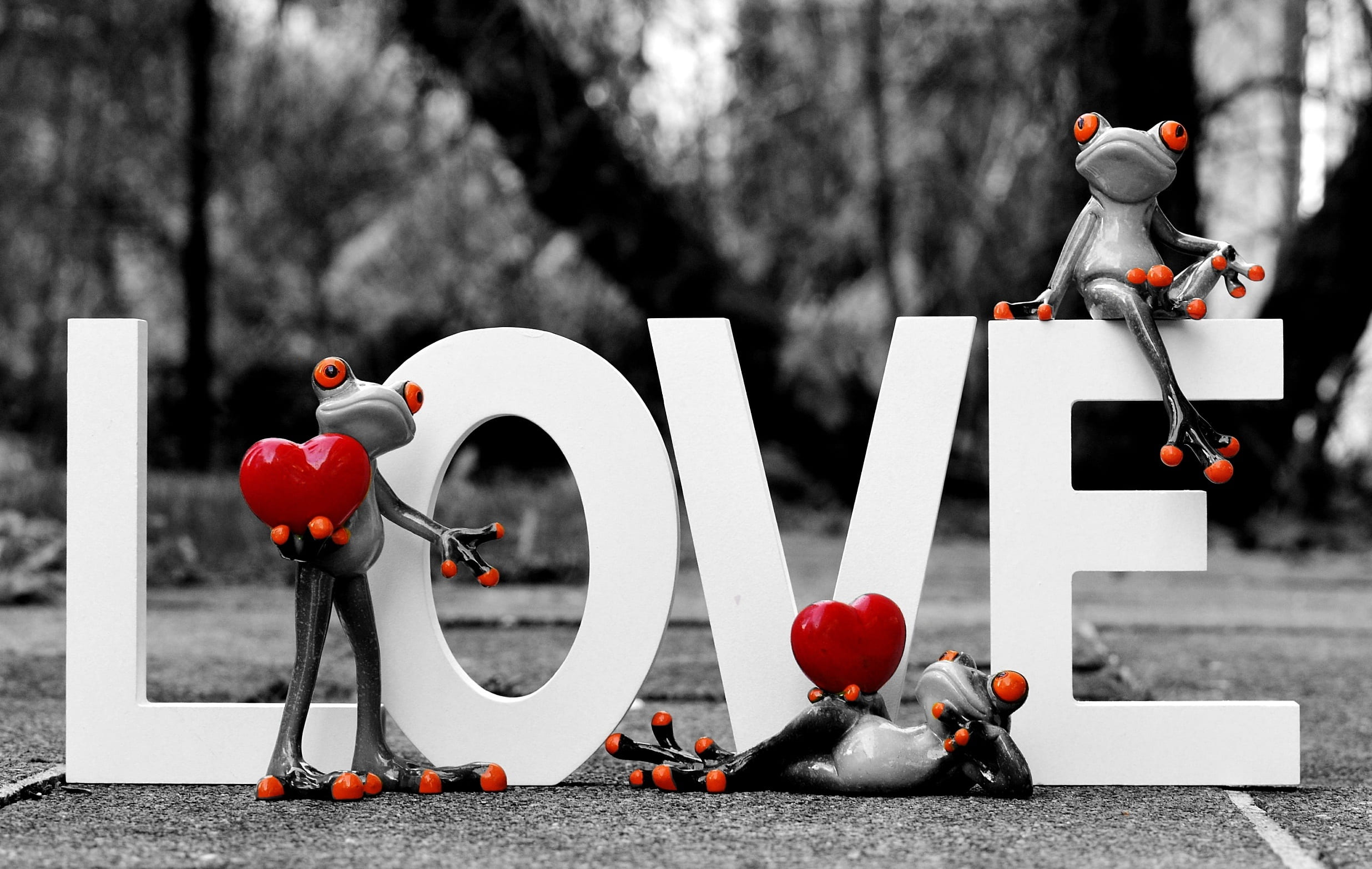 security, affection, safety, transportation, plant, lettering, tree, red, 1080P, valentines day, human representation, white, no people, figures, frogs, HD Wallpaper