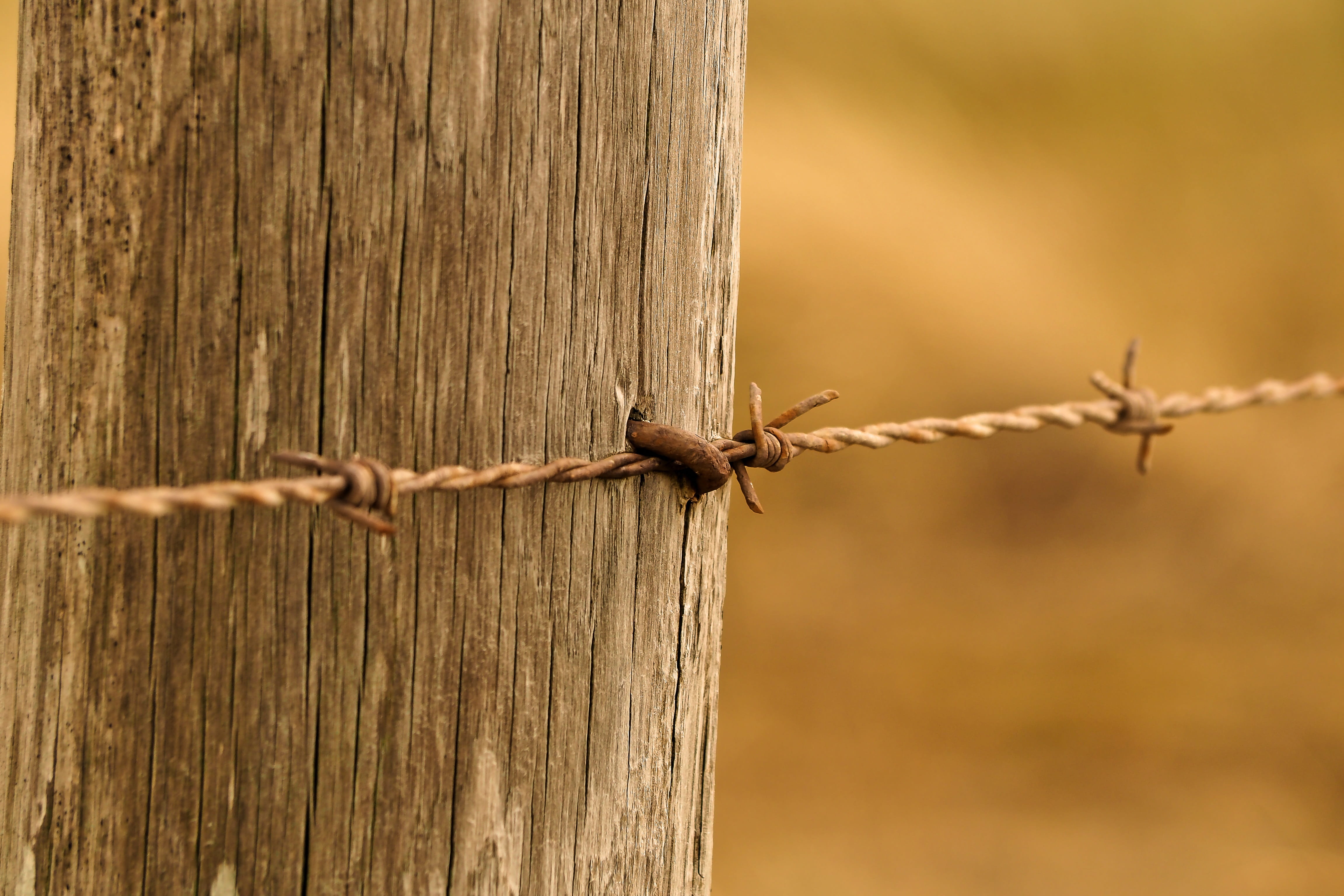 focus on foreground, boards, barrier, nails, wire, fence, protection, sharp, grain, warning sign, wood texture, old, day, mood, wood fence, outdoors, dark, HD Wallpaper