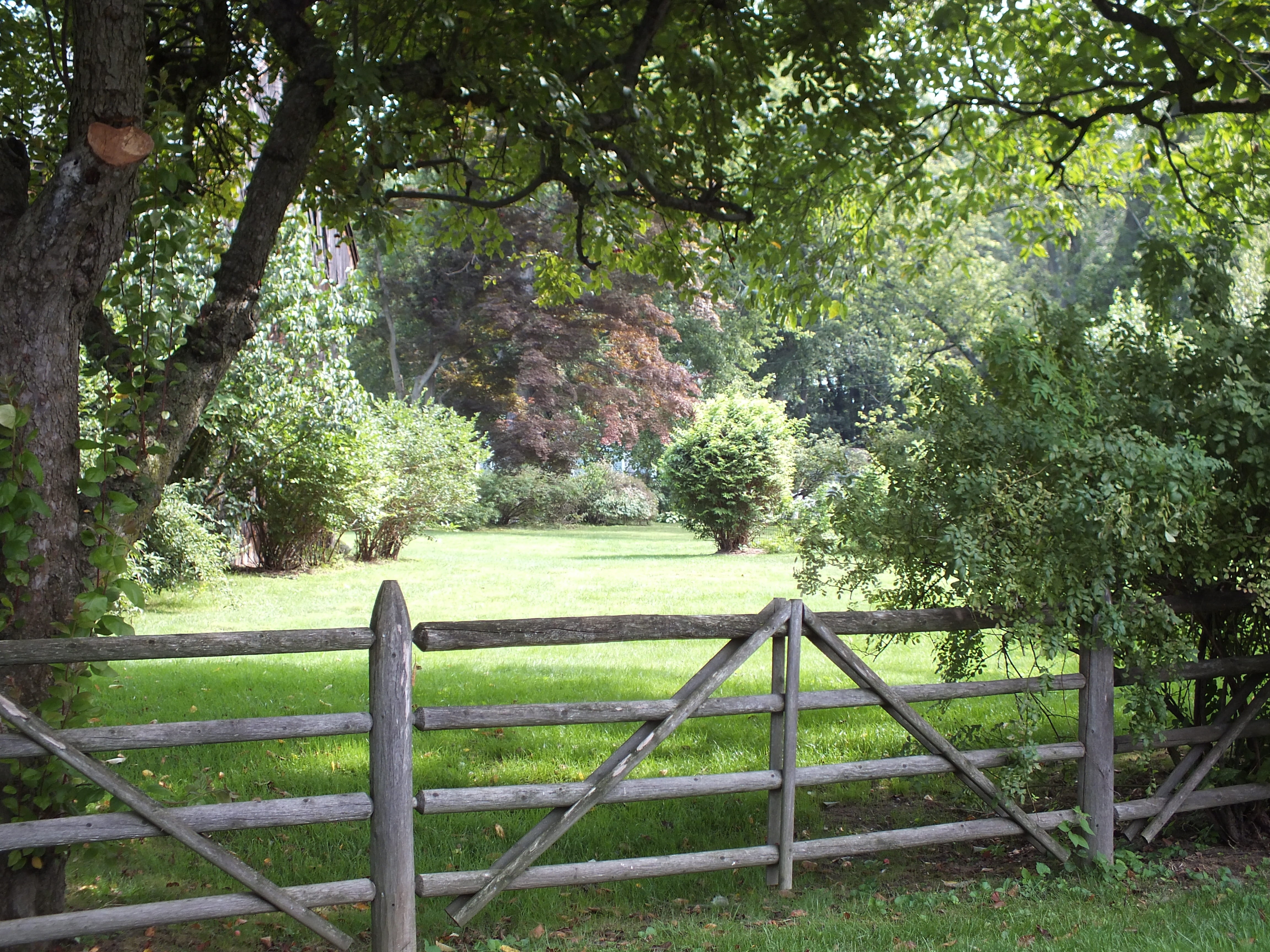 wood, tranquil scene, protection, gray, old, tree, safety, landscape, 4K, meadow, farm, fence, outdoors, growth, green, security, trees, railing, gate, HD Wallpaper
