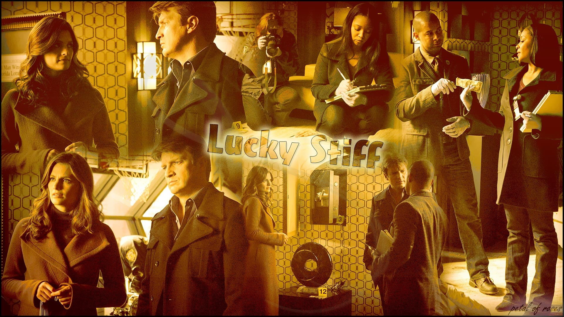 comedy, castle, series, drama, crime, 1080P, HD Wallpaper