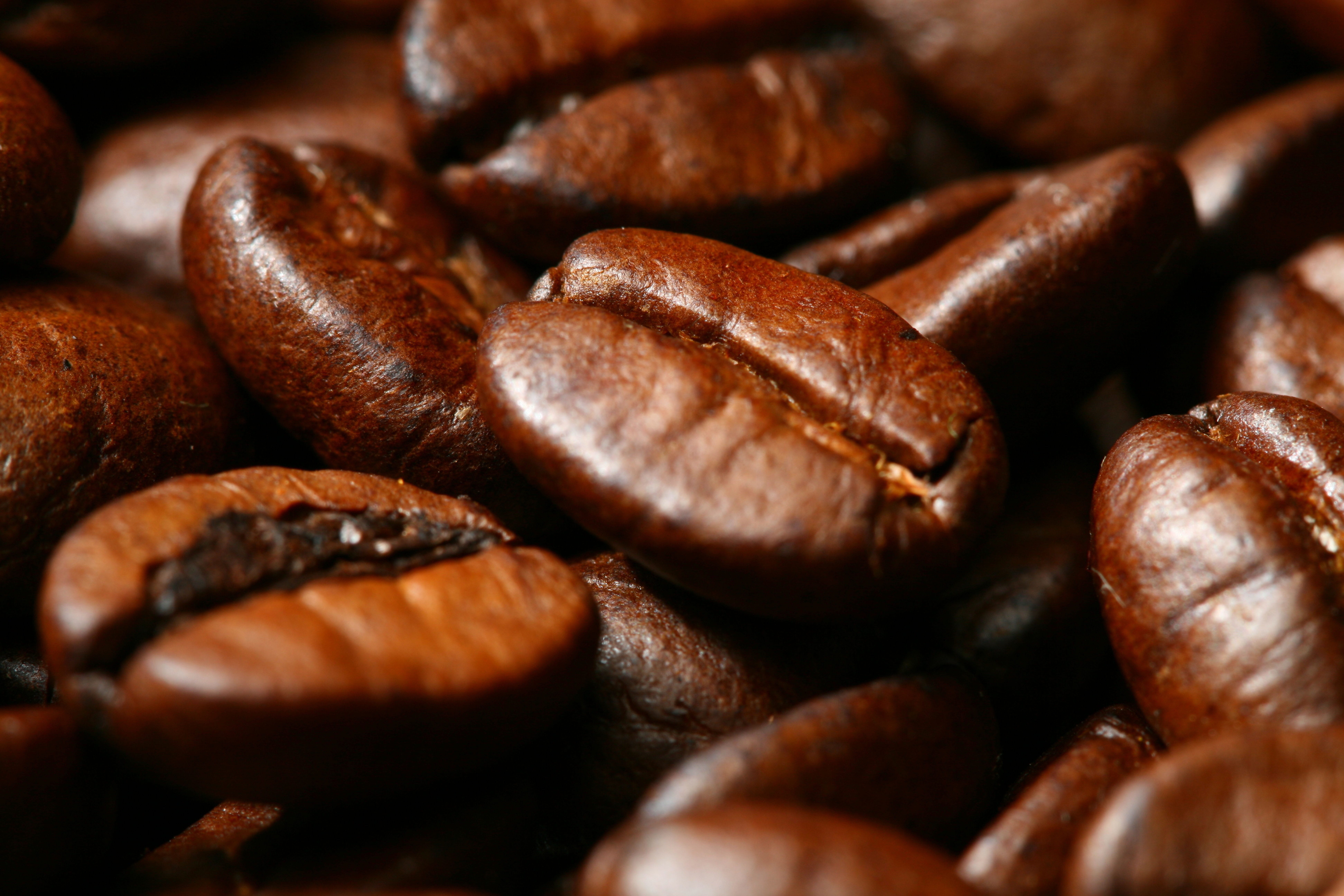 selective focus, full frame, studio shot, restaurant, eat, darkness, roasted, breakfast, freshness, restaurant table, morning, meals, pause, culture, close-up, HD Wallpaper