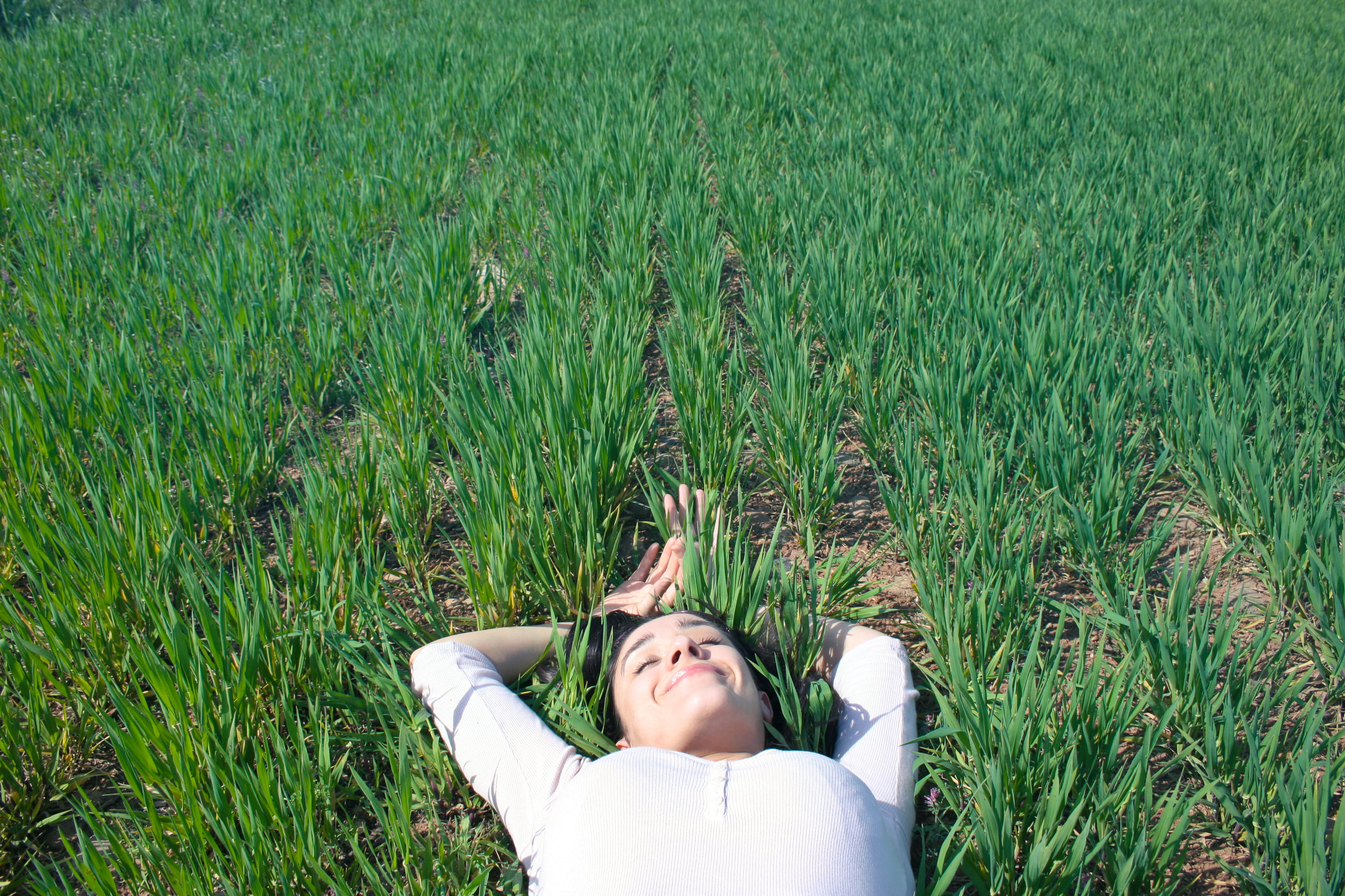 Old, nature, relaxation, hands, One Woman Only, woman, land, Lawn, leisure activity, resting, top, growth, spring, high angle view, Farm, sleep, Smiling, HD Wallpaper