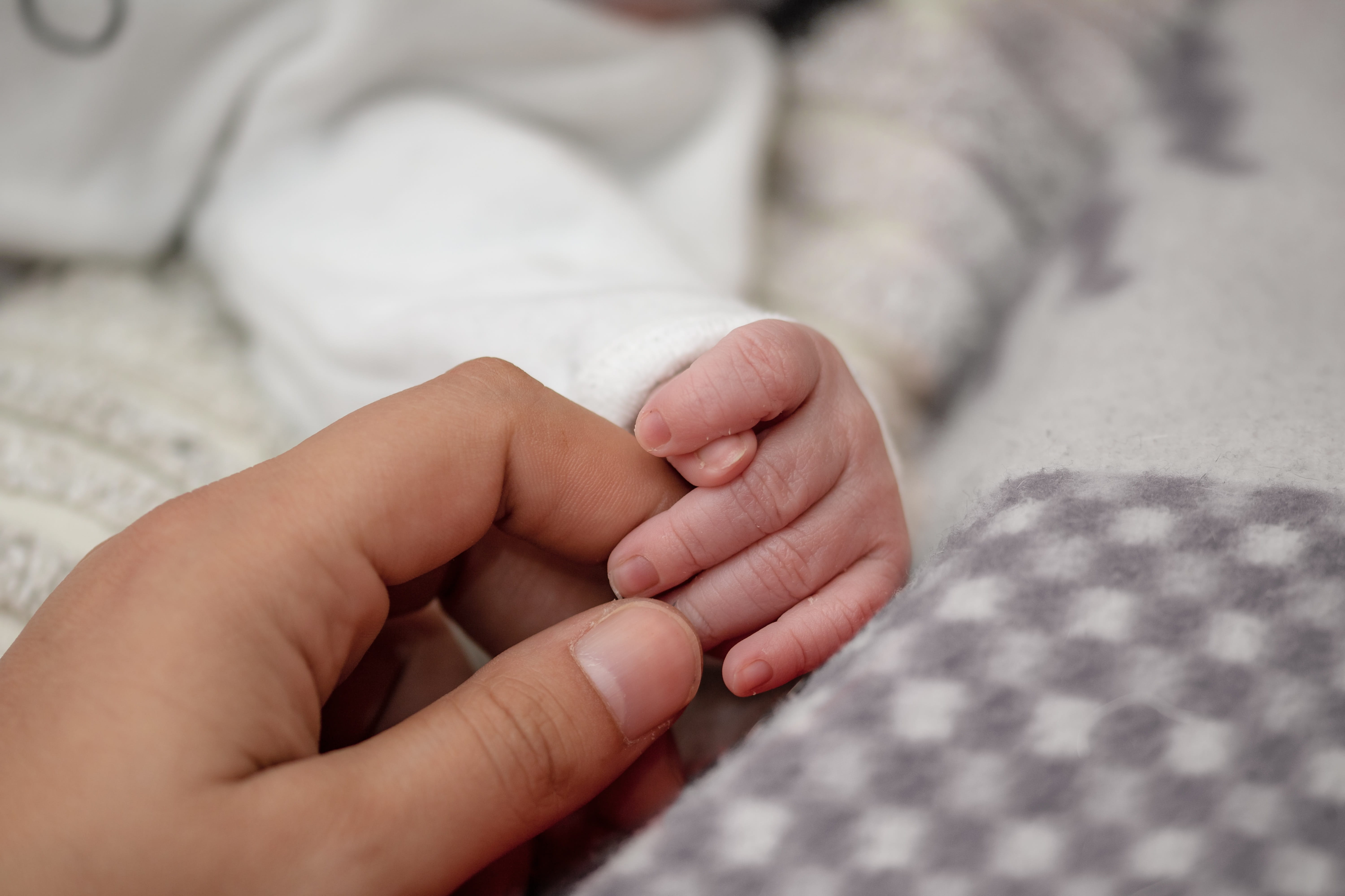 small, childhood, human hand, babys hand, trust, innocence, 5K, skin, real people, human finger, people, finger, tenderness, human body part, togetherness, HD Wallpaper
