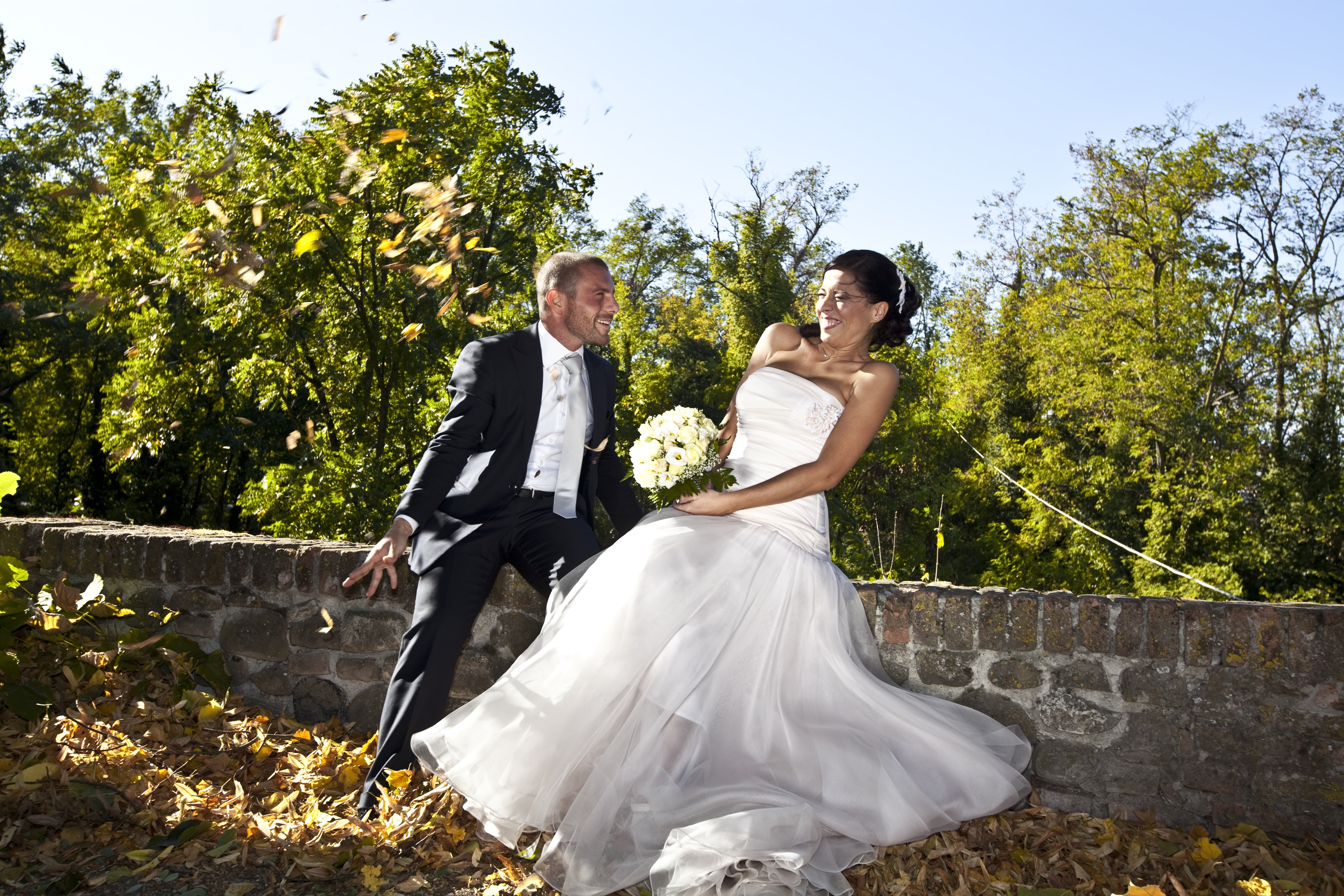 tree, sitting, full length, life events, outdoors, wife, couple, a man and a woman, plant, hearts, tuxedo, groom, clothes, elegance, marriage, positive emotion, HD Wallpaper