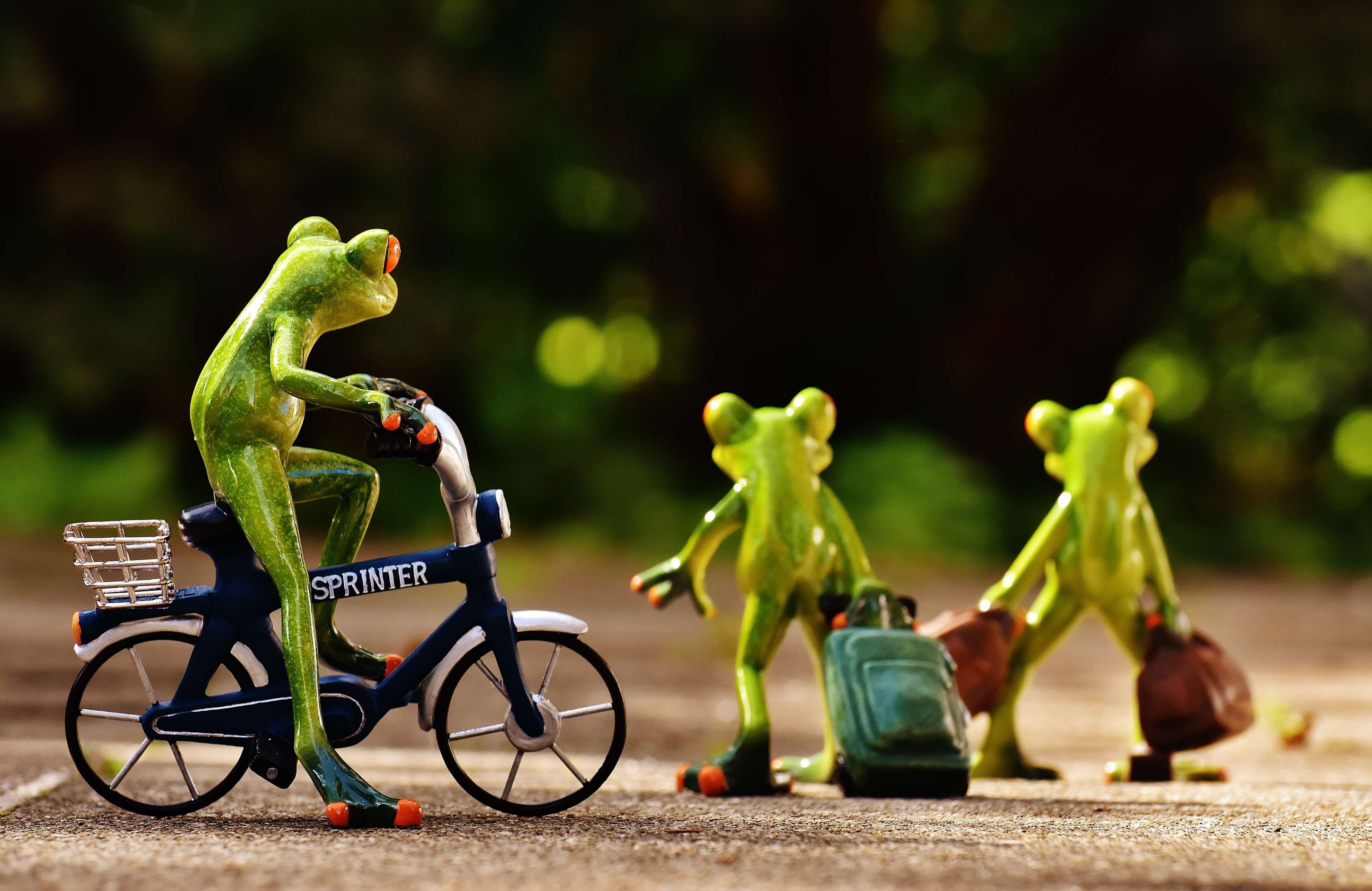 travel, male likeness, go, bike, childhood, good bye, trolley, human representation, focus on foreground, sad, bags, on the go, frog, fun, transportation, HD Wallpaper