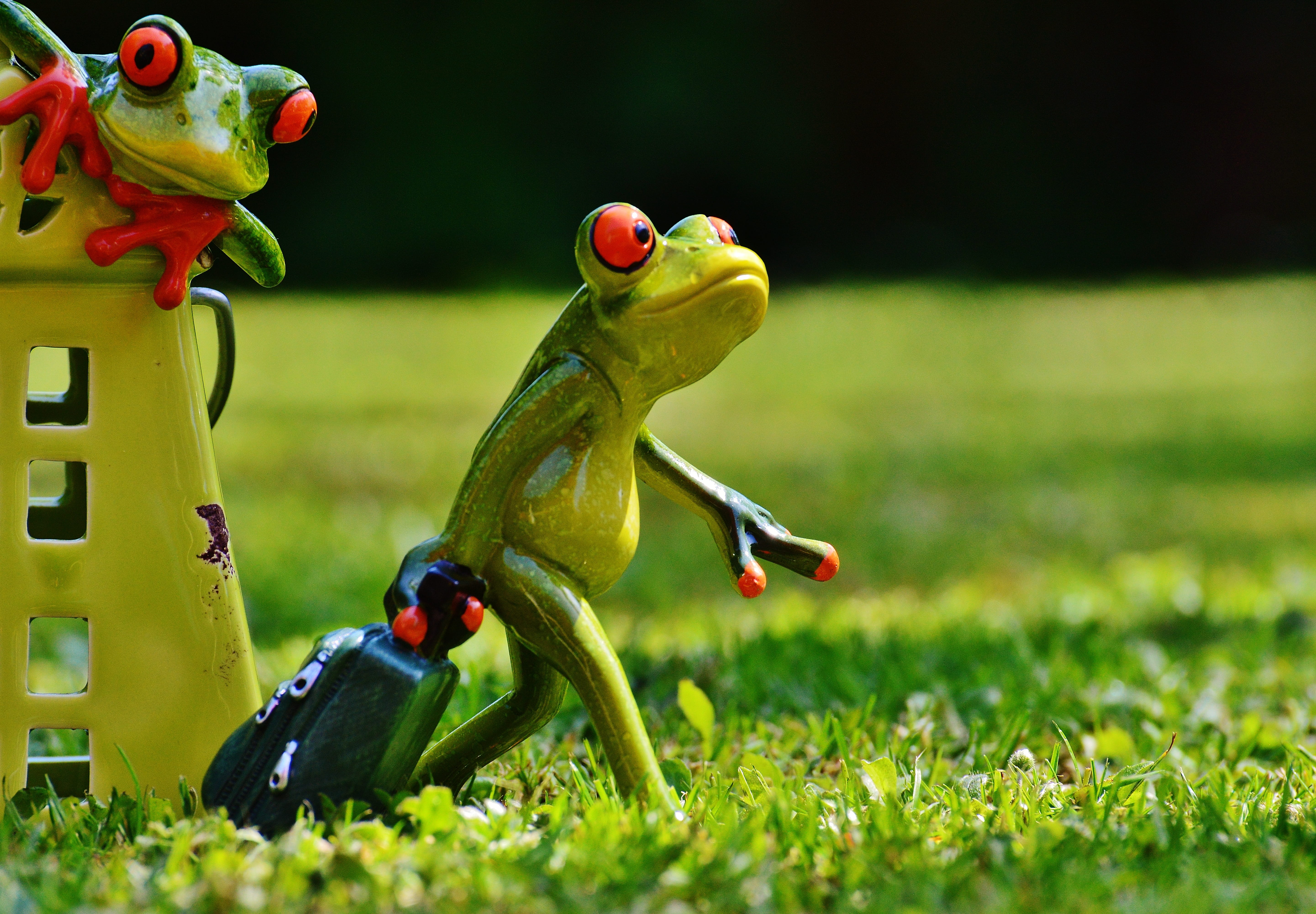 animal representation, two, green, toy, on the go, good bye, funny, sweet, field, animal, holiday, nature, craft, vertebrate, grass, fun, green color, Farewell, HD Wallpaper
