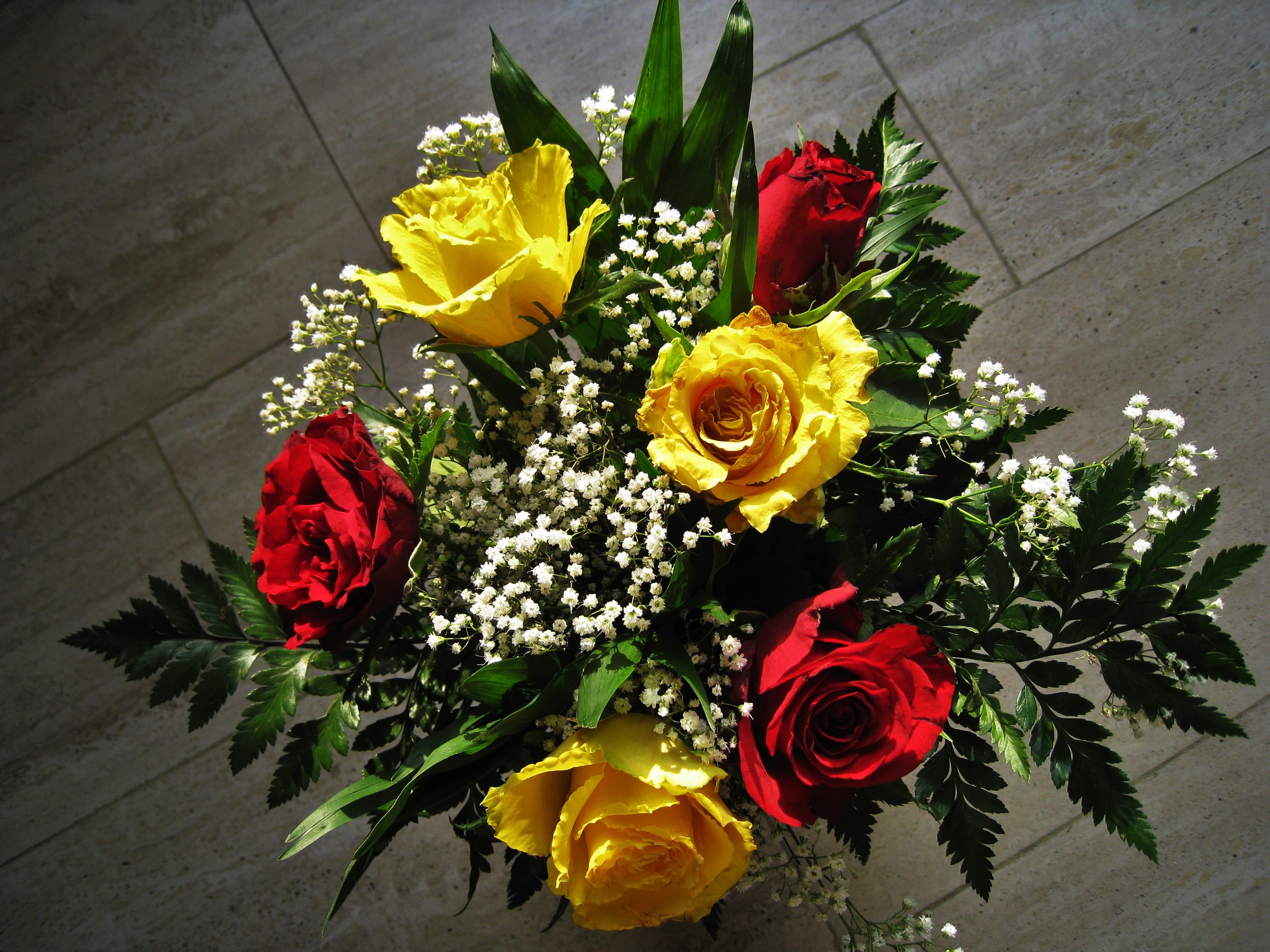 love, tiled floor, rose, gypsophila, close-up, valentines day, outdoors, yellow, plant, rose - flower, flower, 2K, birthday bouquet, flooring, red and yellow roses, HD Wallpaper