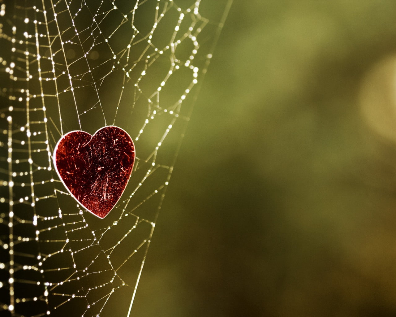 series, Lost (TV Series), Love, art, x, tv, hd, lost, 720P, entertainment, HD Wallpaper