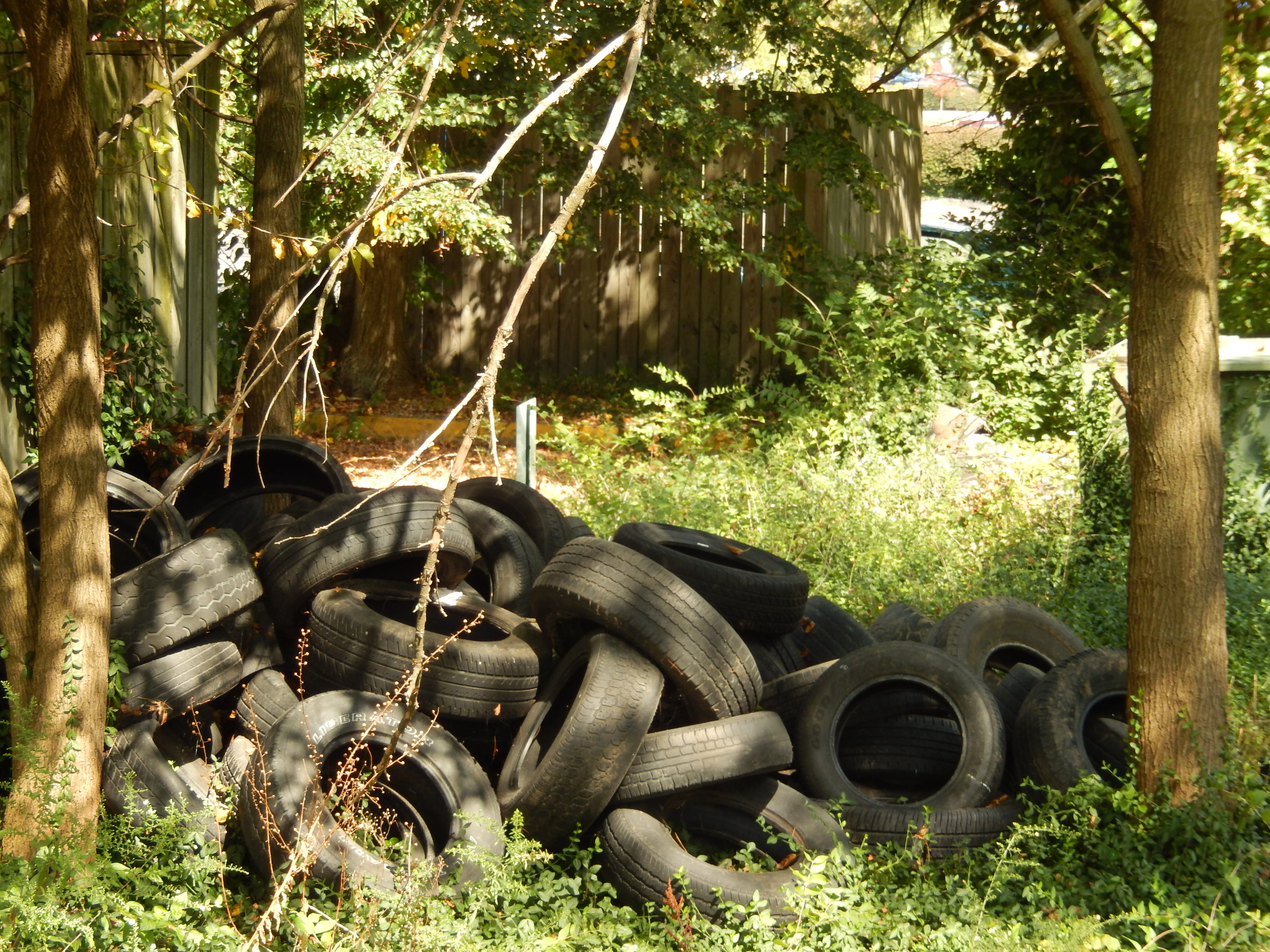 vulcanized, dump, refuse, damaged, obsolete, land, trash, growth, no people, junkyard, plant, trees, grass, land vehicle, field, sunlight, tires, 4K, outdoors, HD Wallpaper