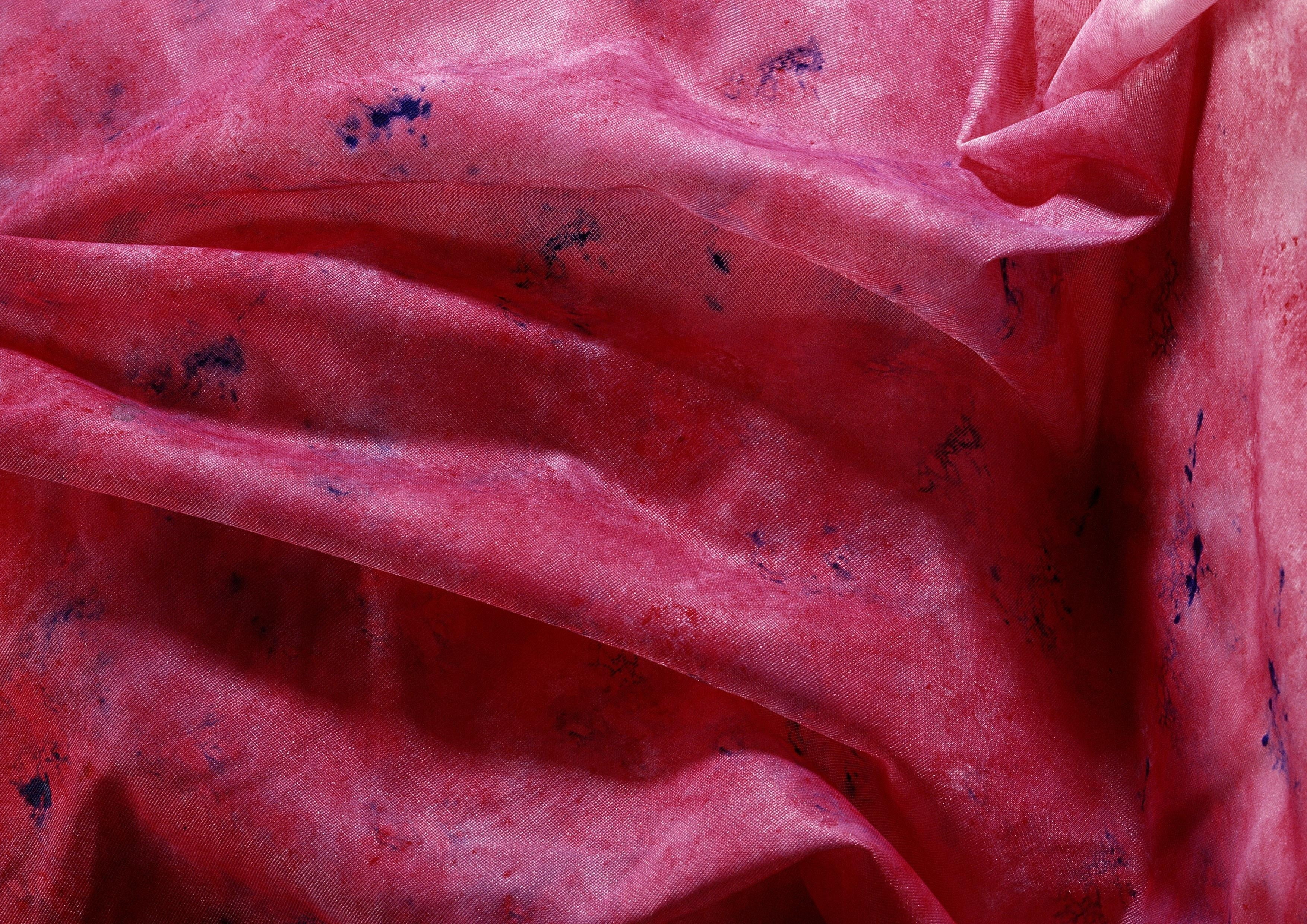 raw food, abstract, wellbeing, full frame, growth, still life, shine, no people, close-up, food and drink, pattern, food, plant, pink color, texture, textured effect, HD Wallpaper
