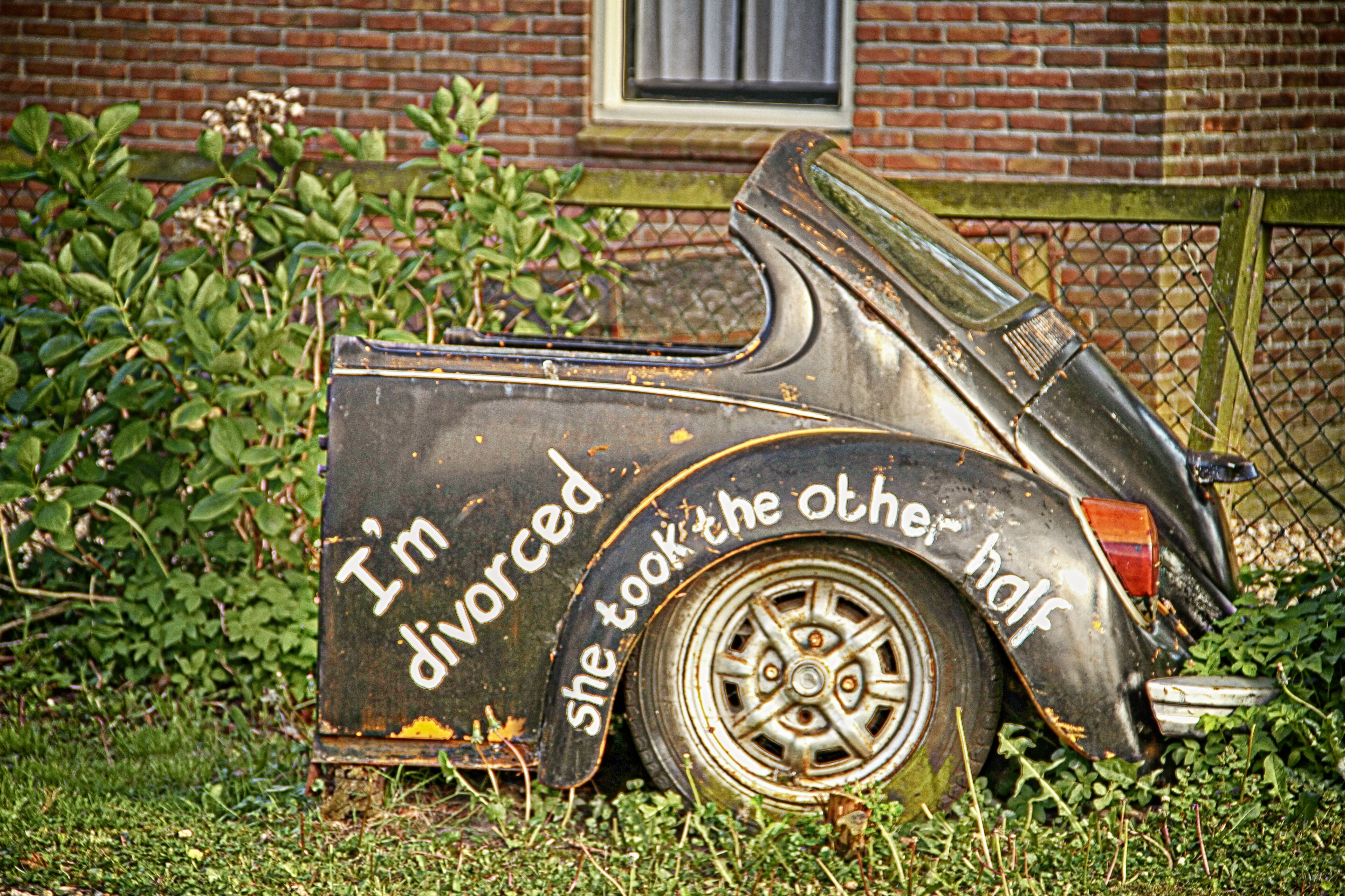 transportation, architecture, front or back yard, green color, text, history, wheel, the netherlands, 5K, funny, plant, outdoors, old-fashioned, part, HD Wallpaper