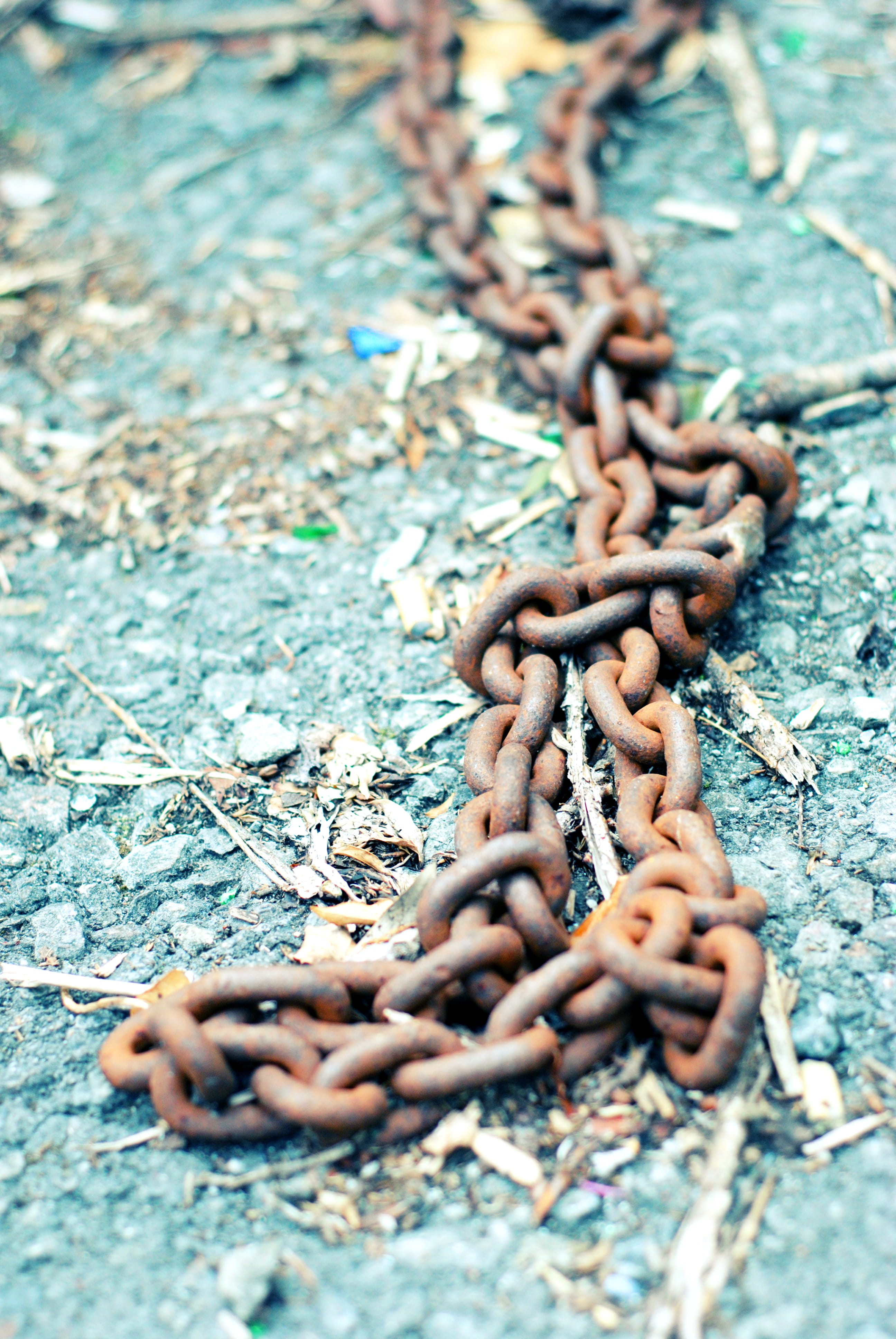 rusty, chained up, high angle view, day, nature, selective focus, connection, bind, strength, chained, metal, textured, bound, protection, 4K, sunlight, Phone HD Wallpaper