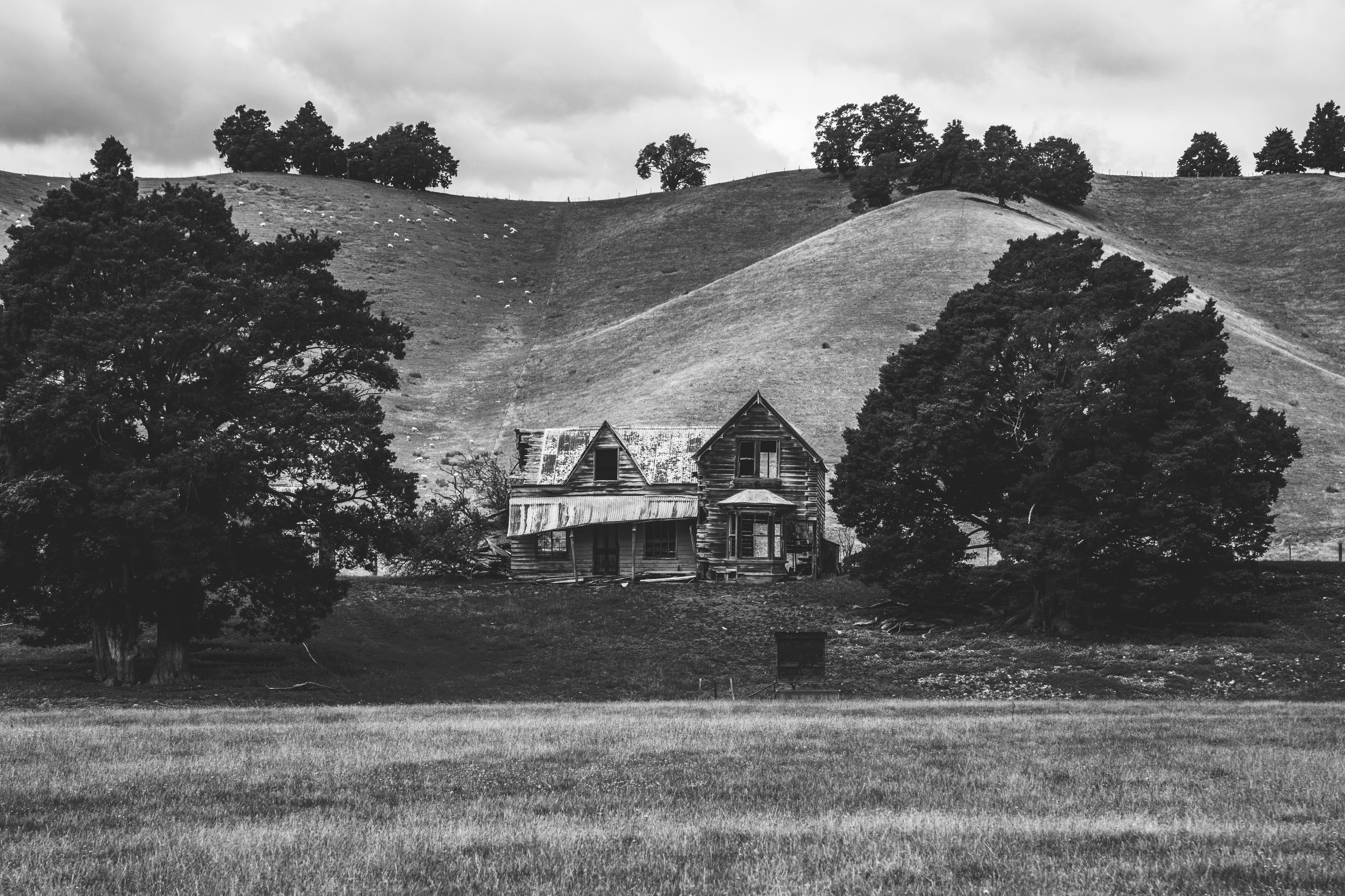 outdoors, tin, new zealand, explore, left behind, nature, environment, given up, built structure, cloud - sky, rural scene, no people, lost, sky, ruin, HD Wallpaper