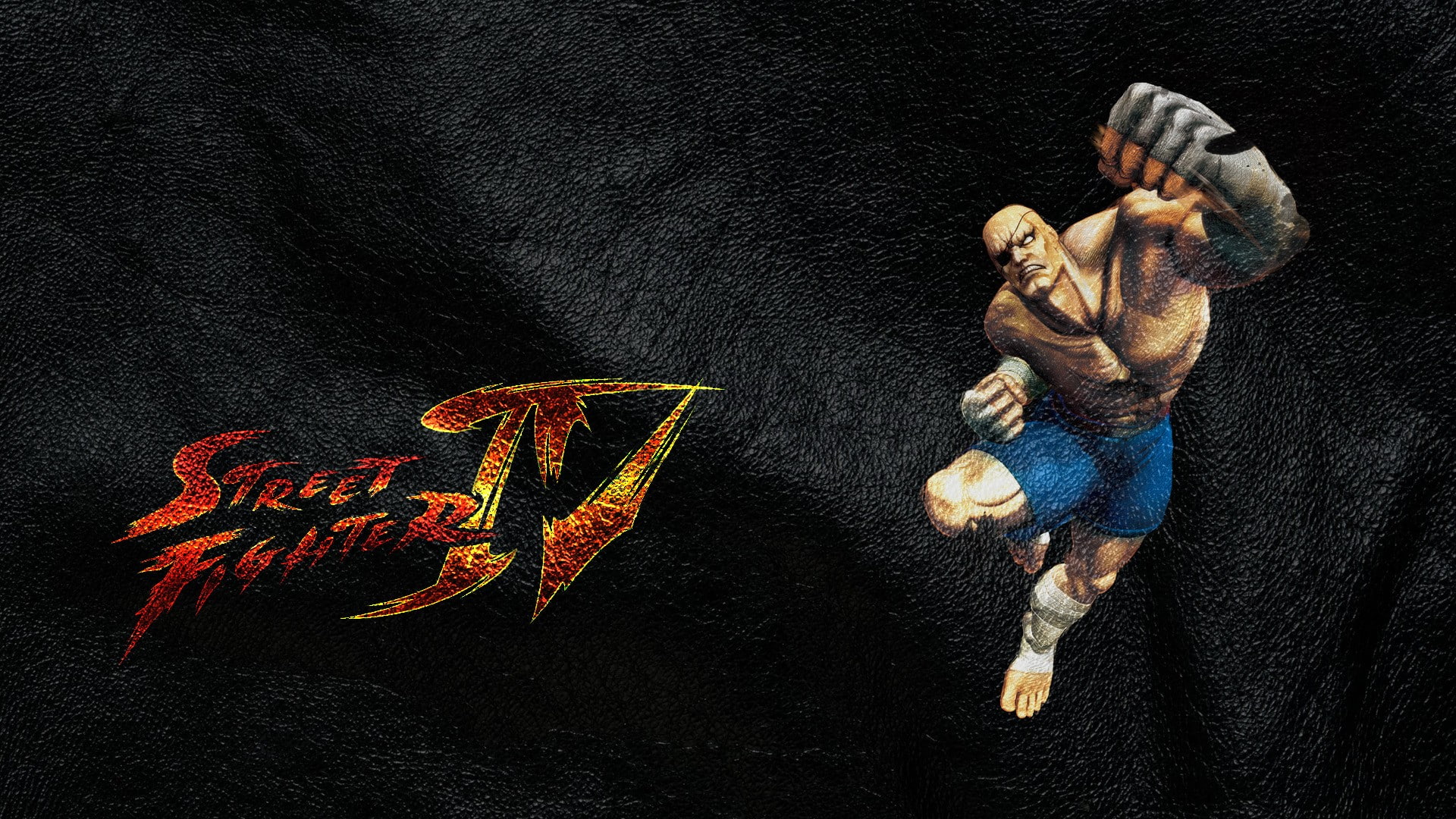 street, fighter, sagat, 1080P, HD Wallpaper