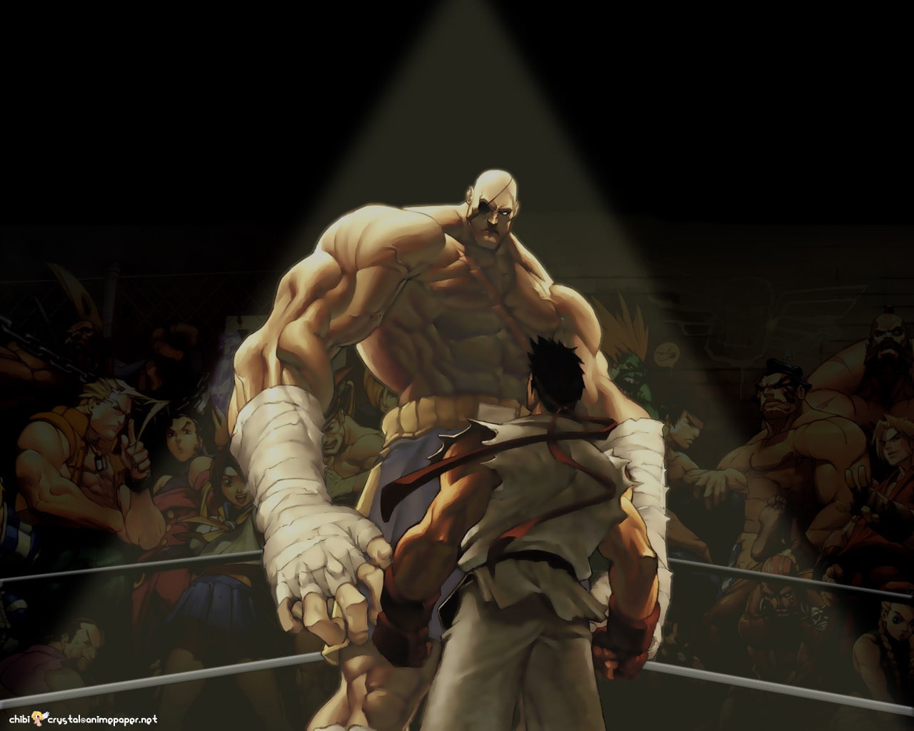 sagat, 720P, video, street, Ryu, fighter, x, street fighter, hd, art, games, HD Wallpaper