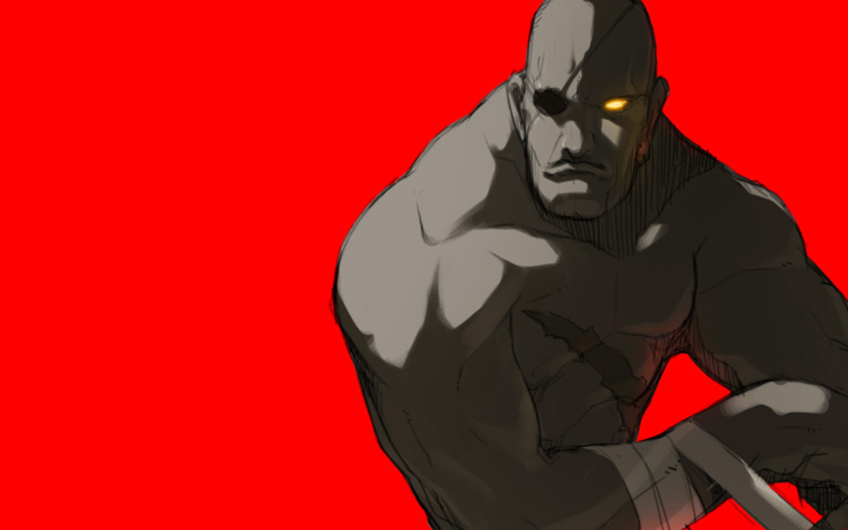 video, games, street, simple, 720P, background, sagat, fighter, HD Wallpaper