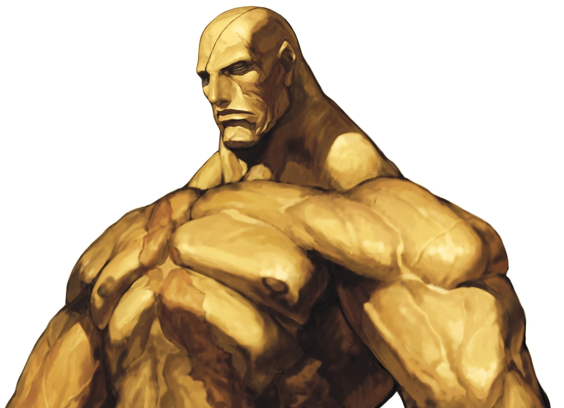 street, iii, sagat, fighter, games, 720P, artwork, art, hd, video, HD Wallpaper