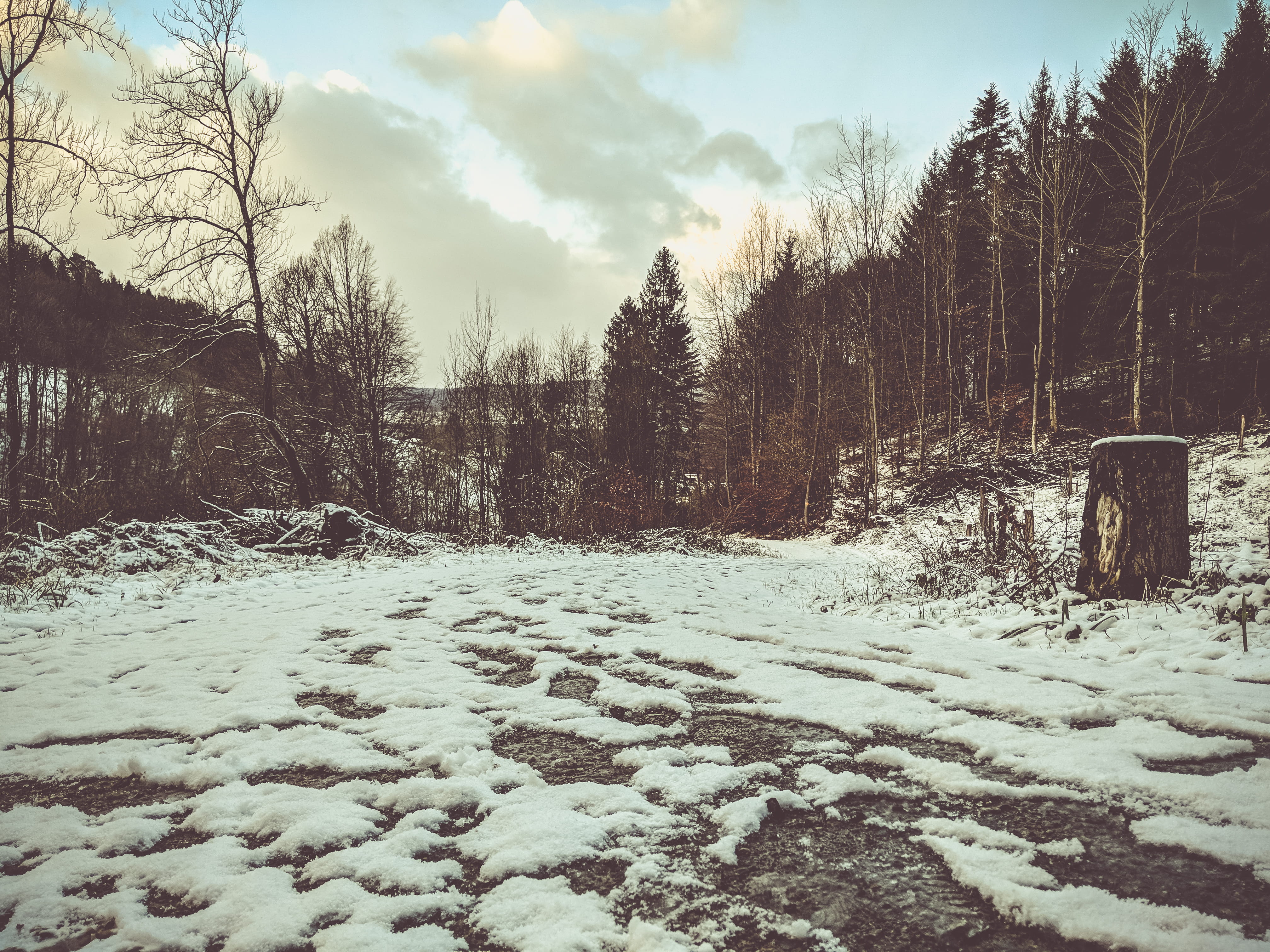 4K, cold temperature, non-urban scene, winter, cloud - sky, tree, outdoo, field, tranquility, nature, trees, sky, forest, no people, scenics - nature, HD Wallpaper