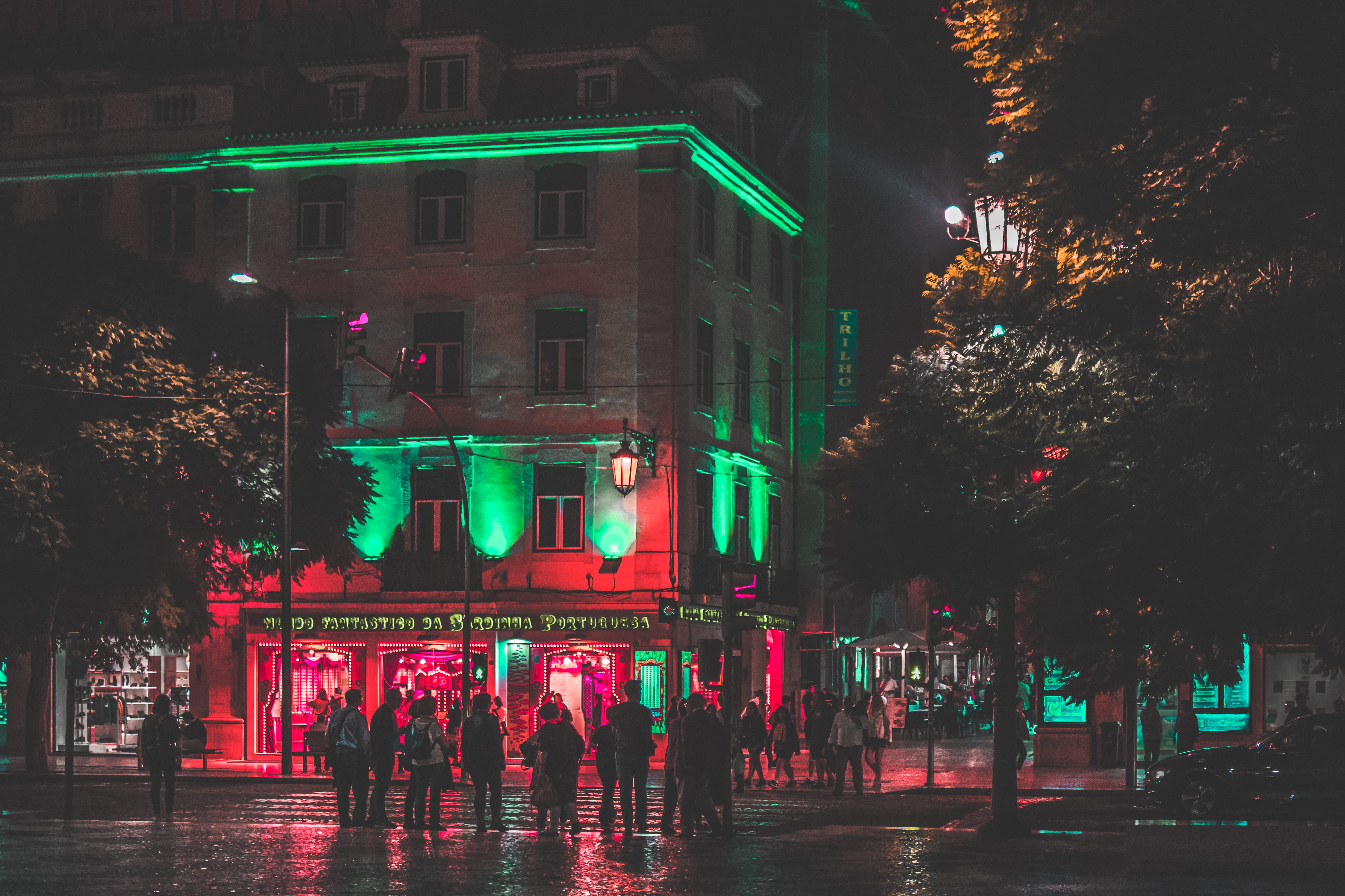 person, streets, roads, decoration, christmas, nature, trees, buildings, people, holiday, reflections, architecture, plant, town, 5K, lights, evening, HD Wallpaper