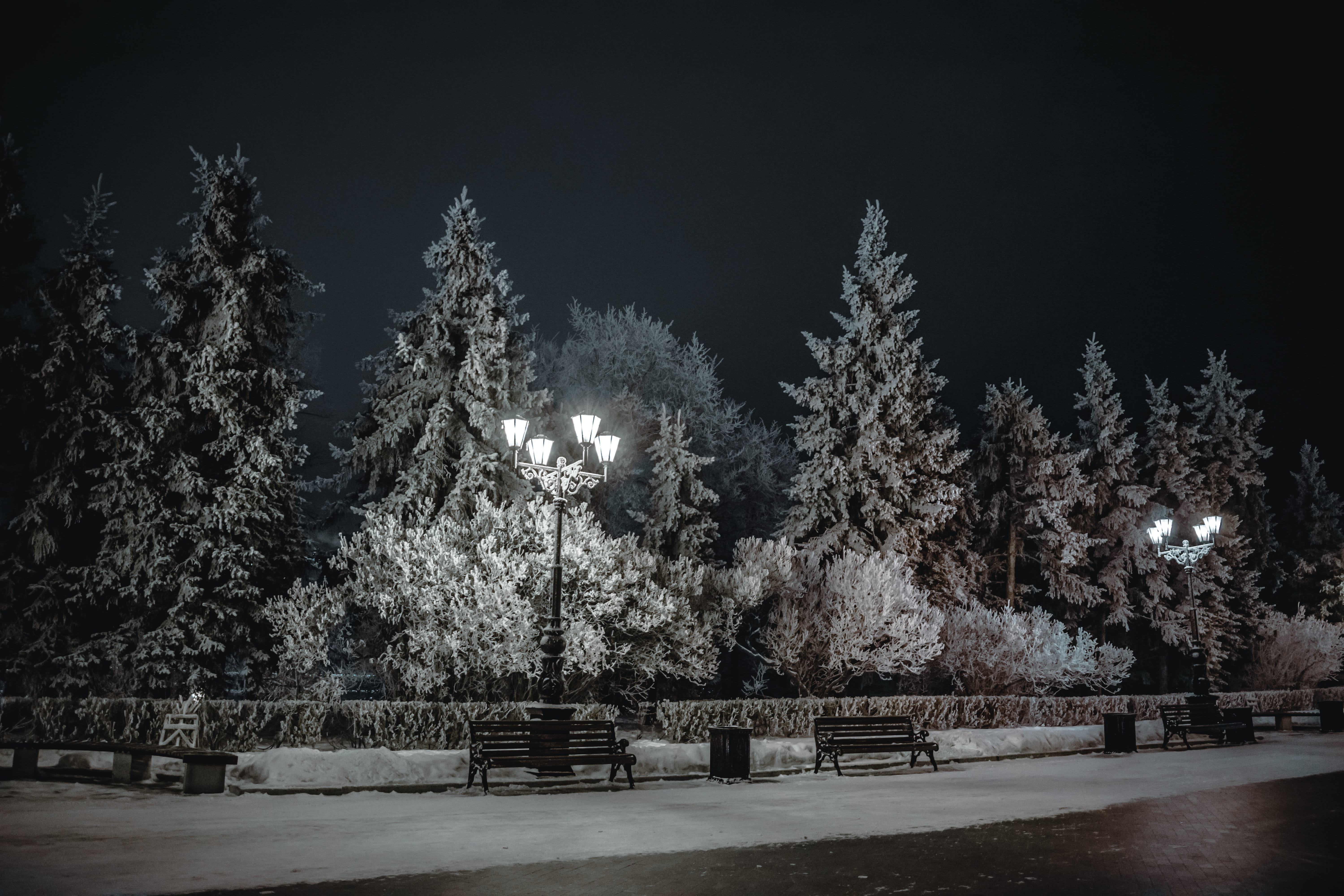 winter, covering, snowcapped mountain, tree, street light, lighting equipment, trees, tranquility, russia, lighted, bench, ufa, night, frozen, abies, post, HD Wallpaper