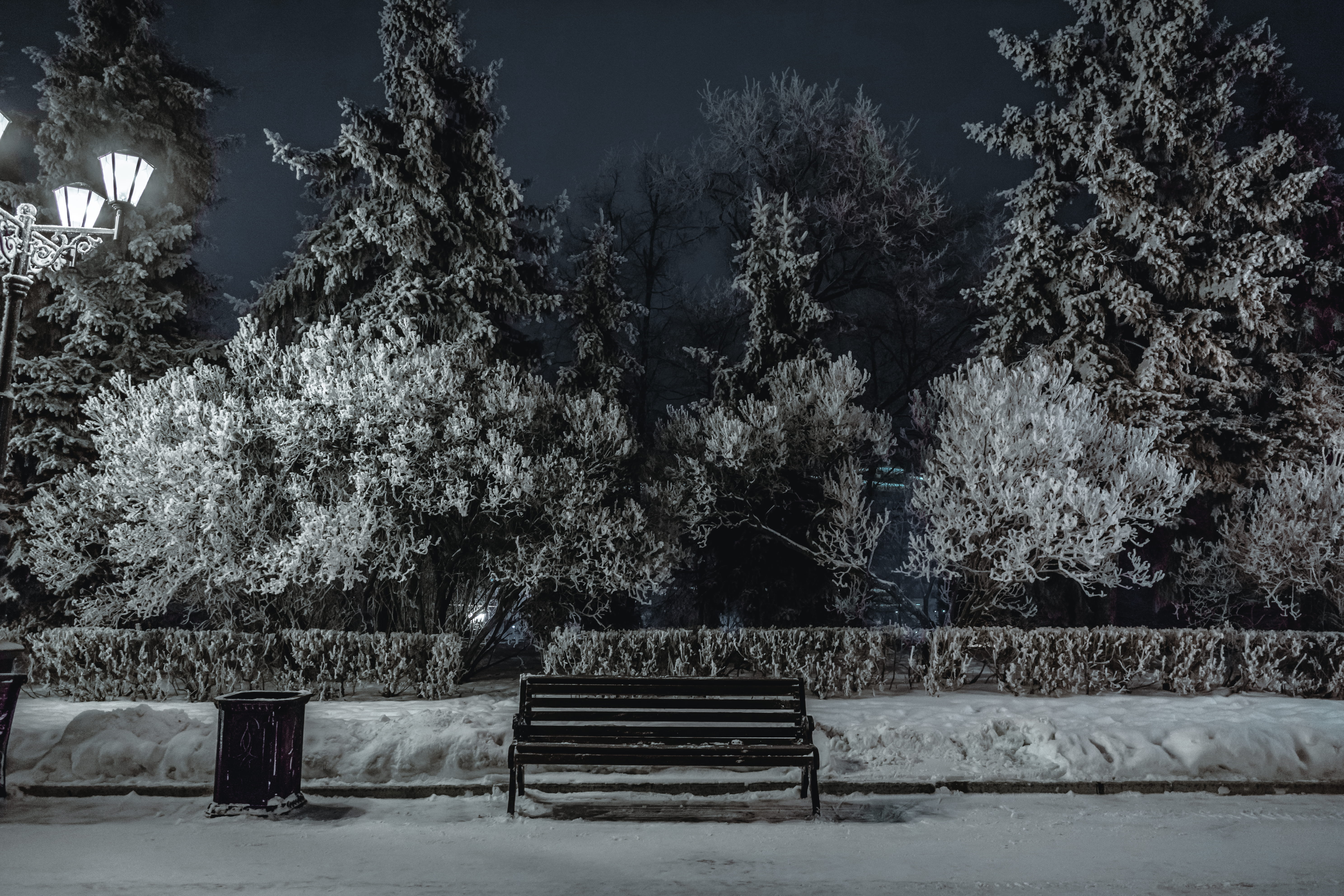 tranquility, snow, absence, park, russia, park " vatan", nature, cold temperature, park - man made space, park bench, bench, seat, winter, 5K, growth, HD Wallpaper