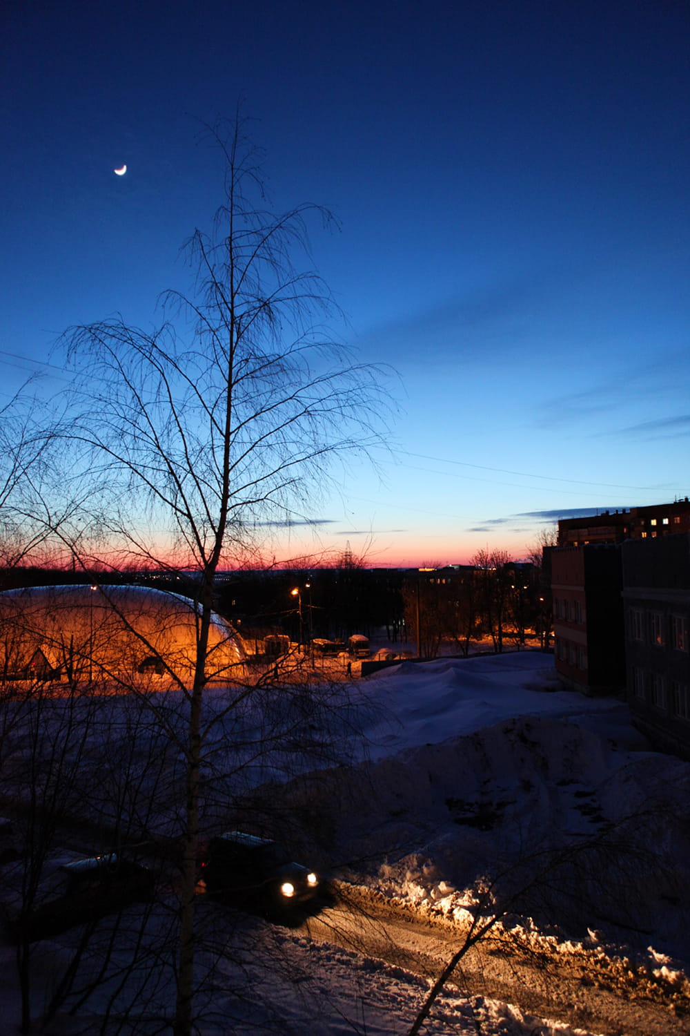 720P, no people, bare tree, night, building exterior, winter, outdoors, nature, illuminated, blue, architecture, dusk, tree, built structure, snow, plant, Phone HD Wallpaper