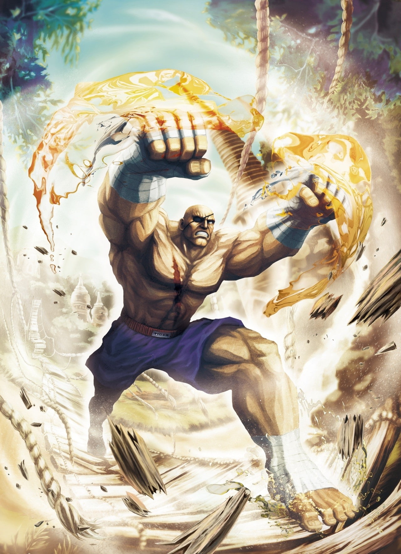 hd, games, tekken, x, video, sagat, 720P, fighter, art, Street Fighter X Tekken, street, Phone HD Wallpaper