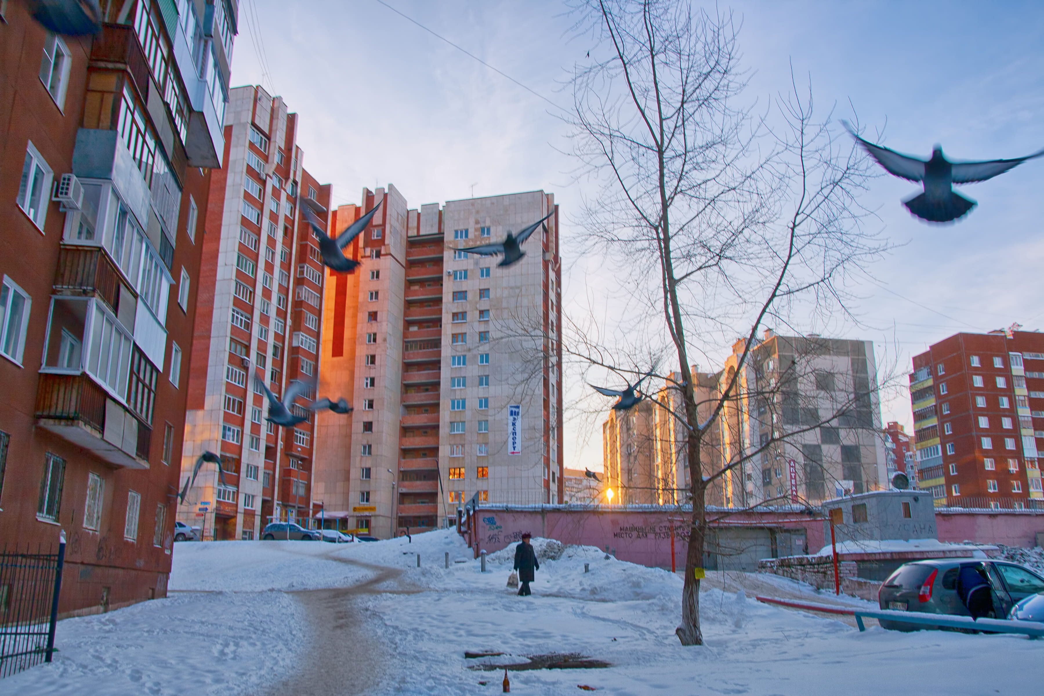 yard, blue, sunny, tree, leisure activity, skyscraper, cold, house, winter, nature, court, city, sidewalk, russia, urban, city life, snowing, ufa, snow, HD Wallpaper