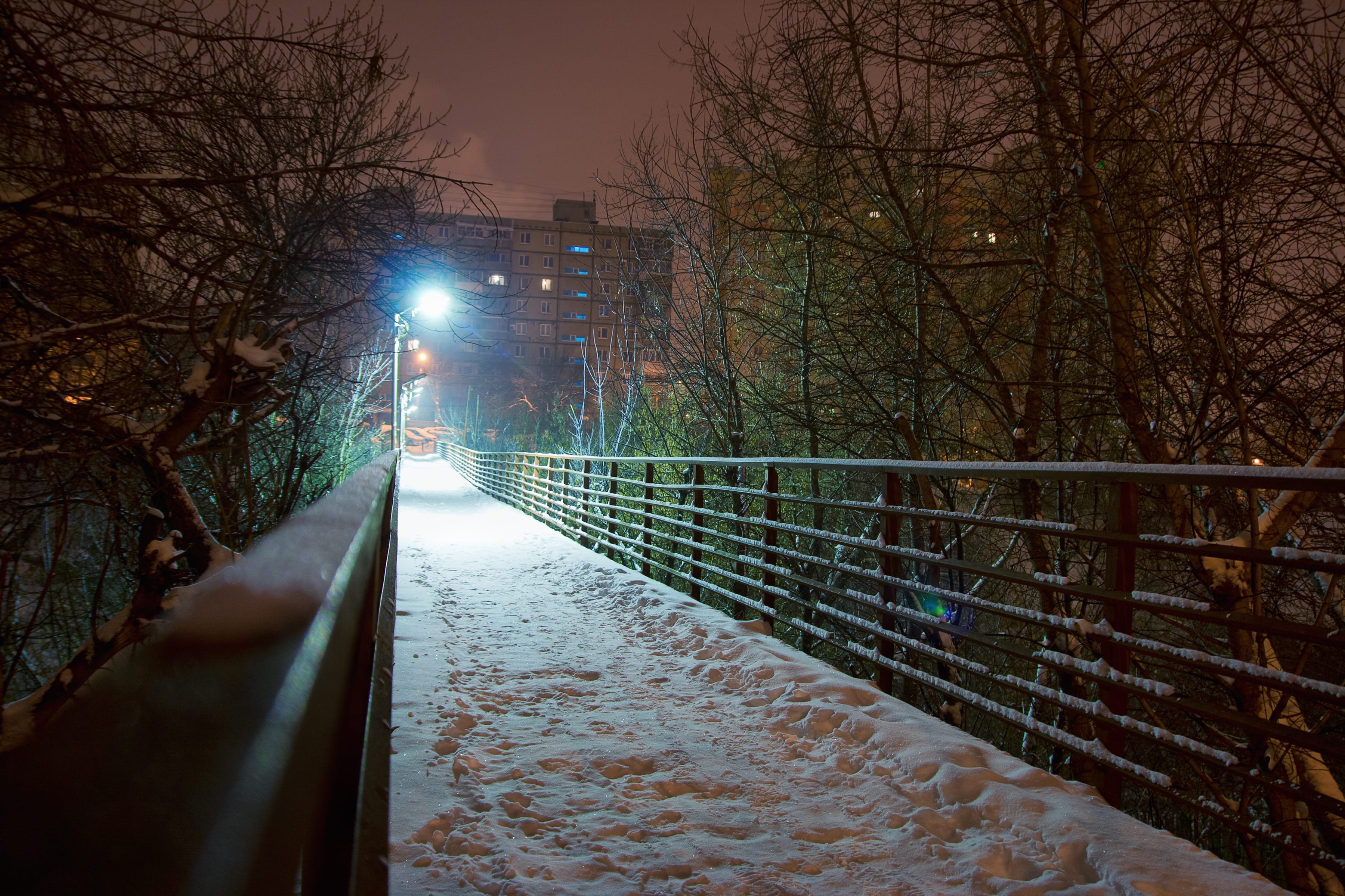 the way forward, transportation, ufa, tree, green, no people, bridge - man made structure, windows, cold temperature, snowdrift, light, plant, snow, railing, HD Wallpaper