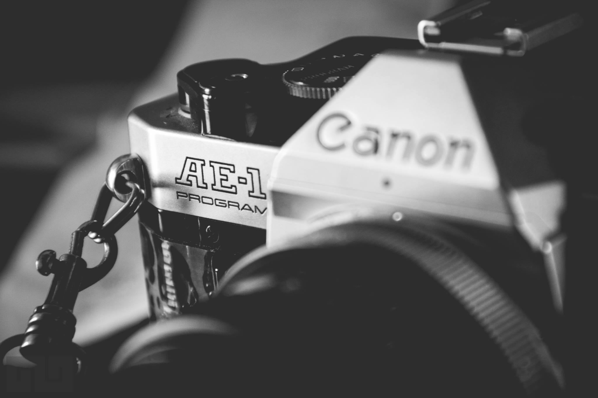 government, black and white, transportation, canon, focus on foreground, bicycle, law, selective focus, text, sign, 1080P, mode of transportation, western script, HD Wallpaper