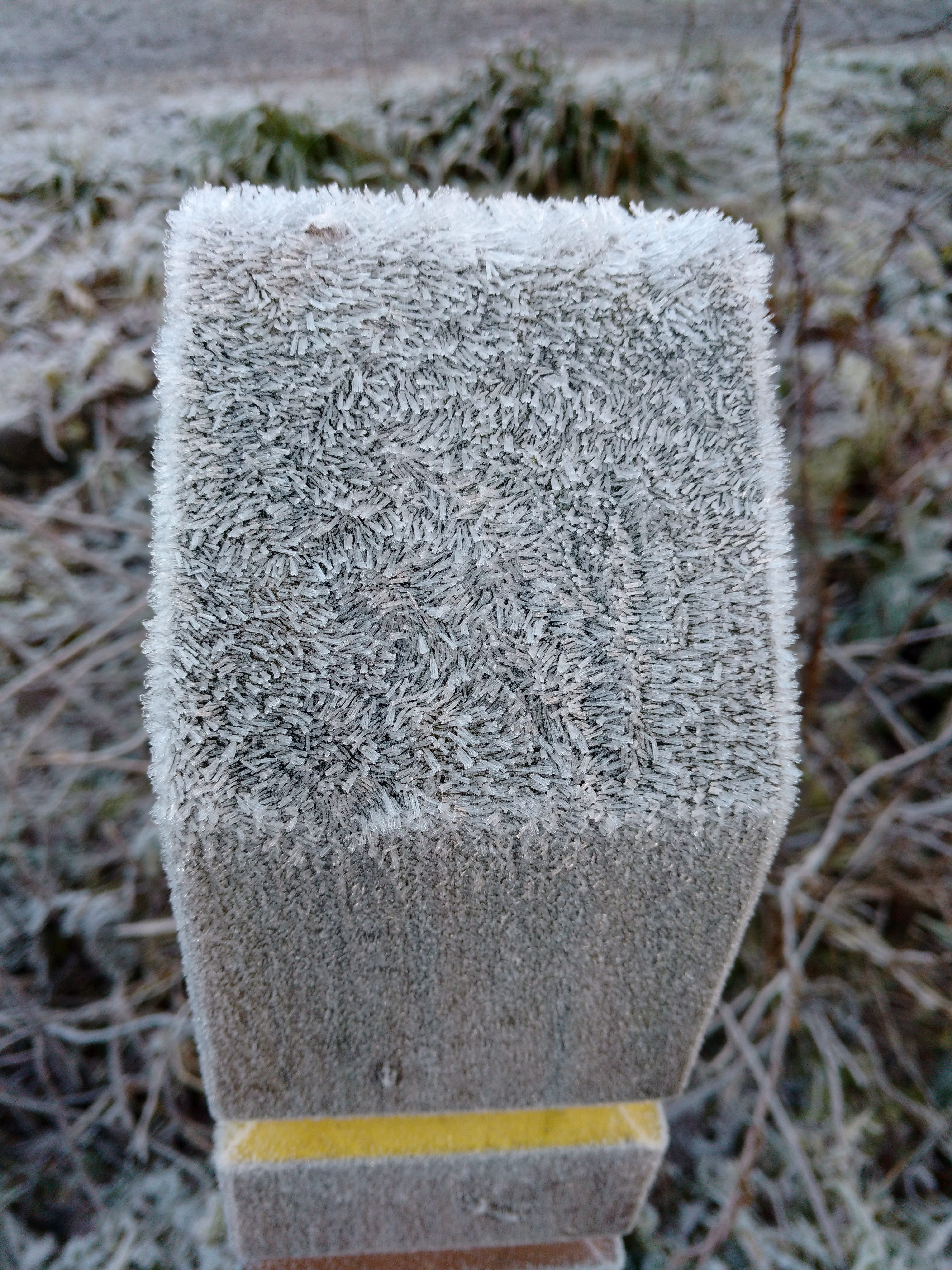 white color, post, cold temperature, grass, united kingdom, plant, close-up, high angle view, land, ice crystals, outdoors, forest of ae, container, field, Phone HD Wallpaper