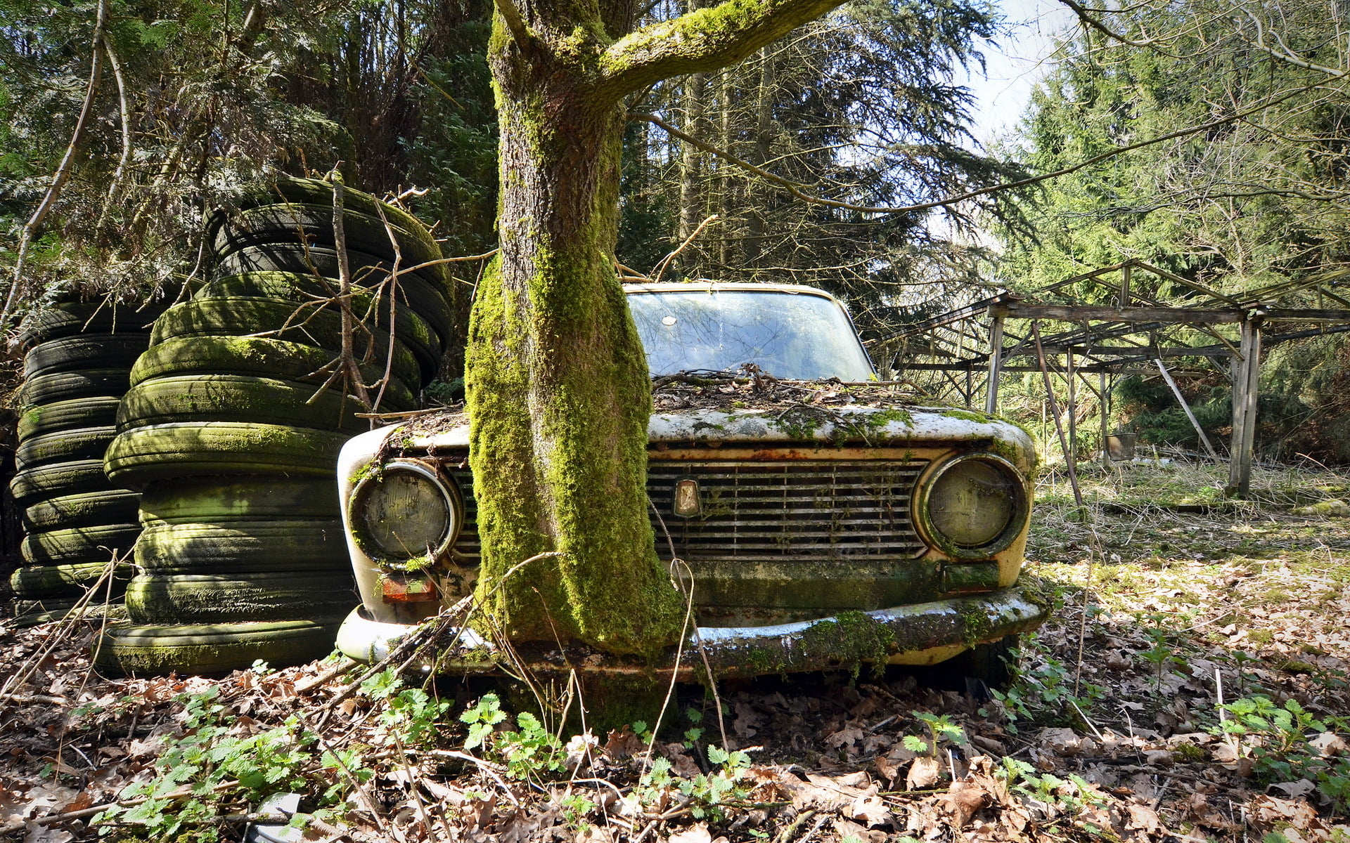 deterioration, machine, motor vehicle, tree trunk, decline, plant, nature, scrap, woodland, land vehicle, land, damaged, transportation, wheel, VAZ 2101, HD Wallpaper